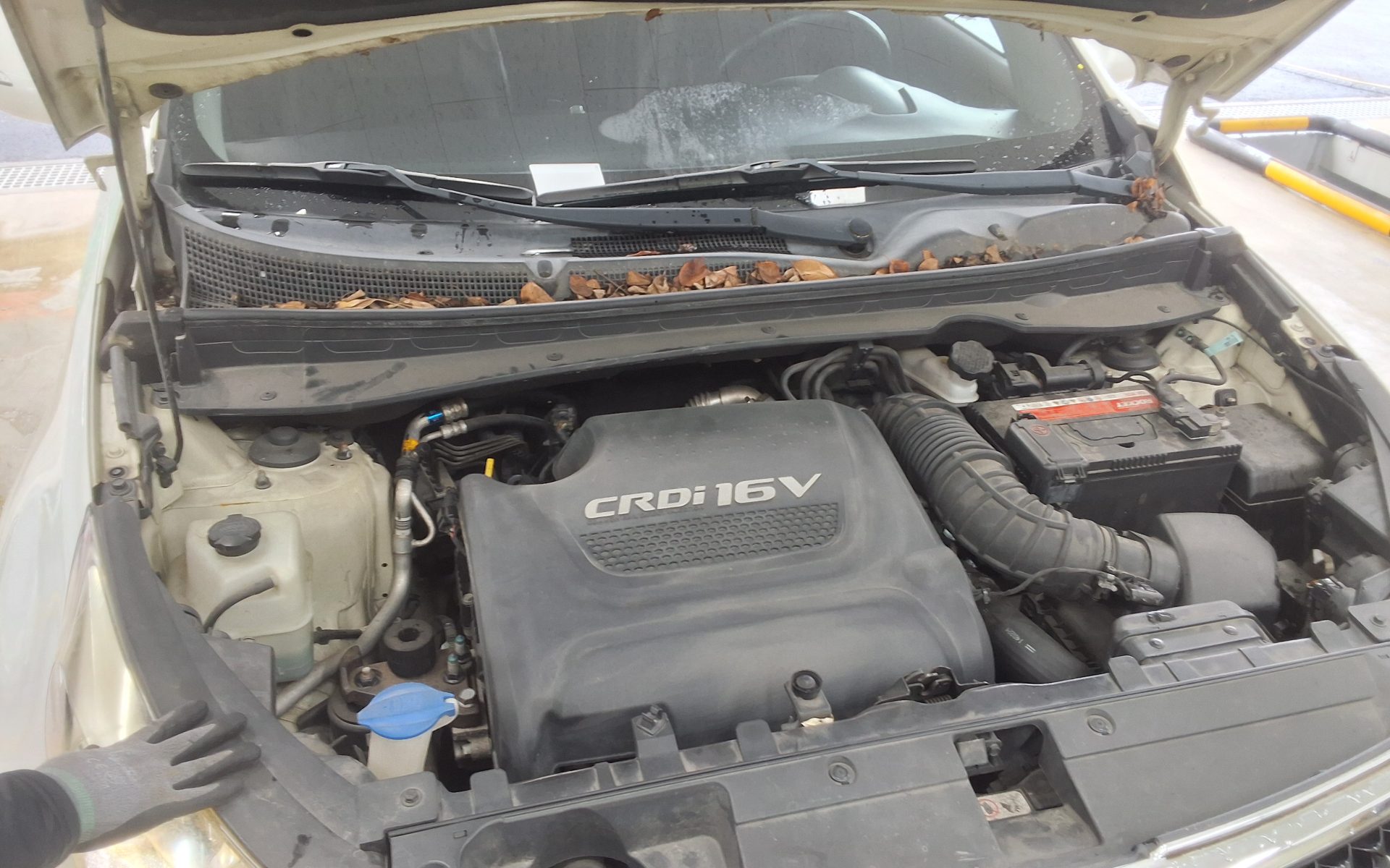 2014 - kia sportage