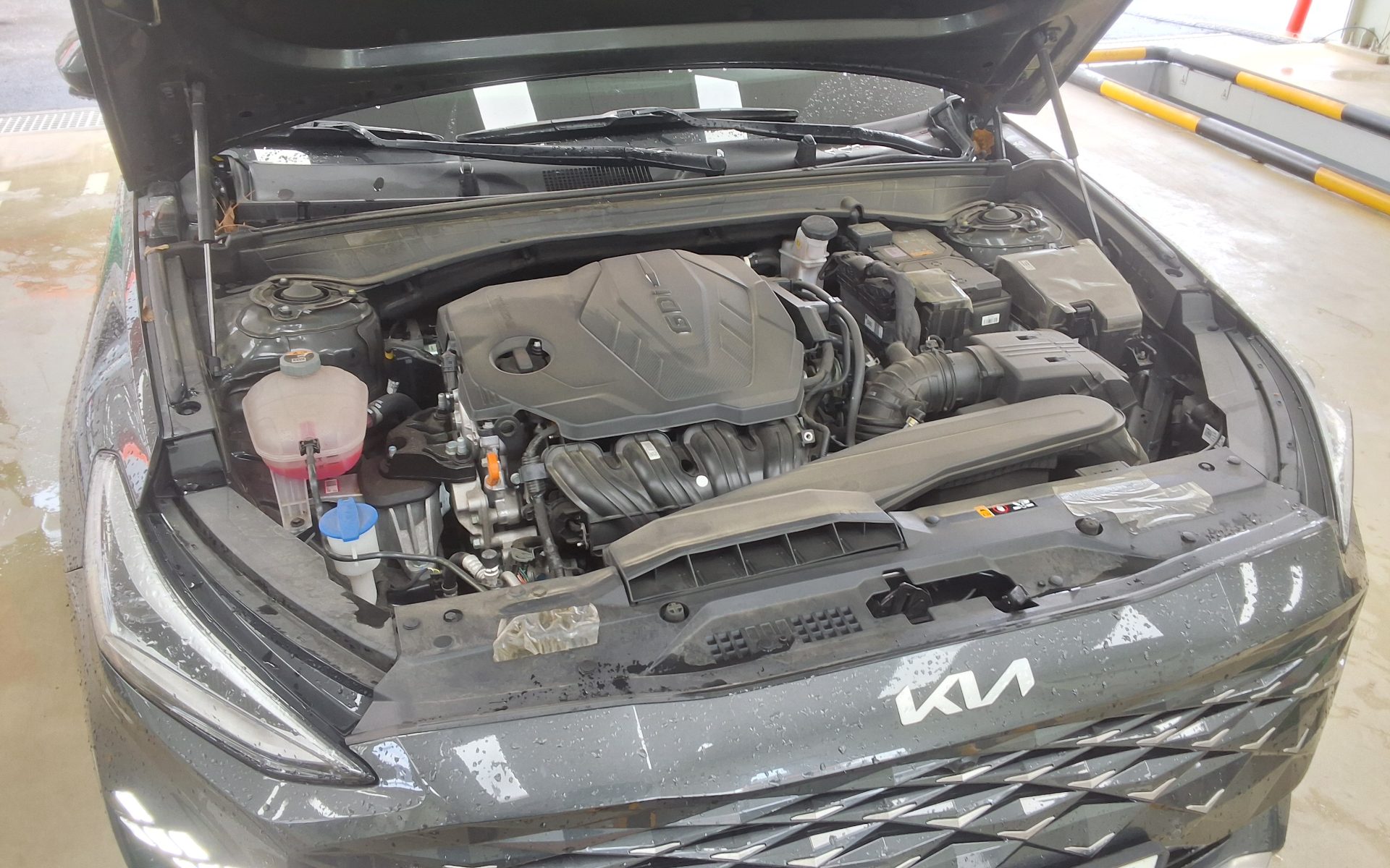 2023 - kia k8