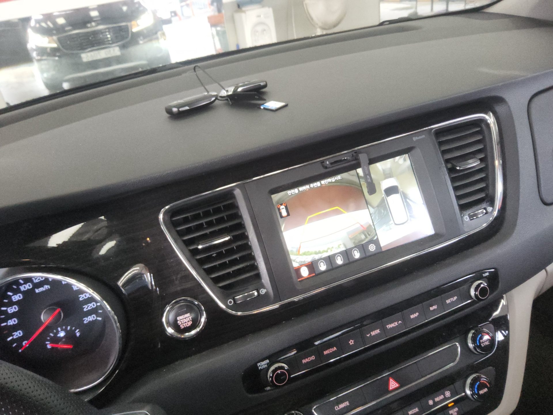 2019 - kia carnival