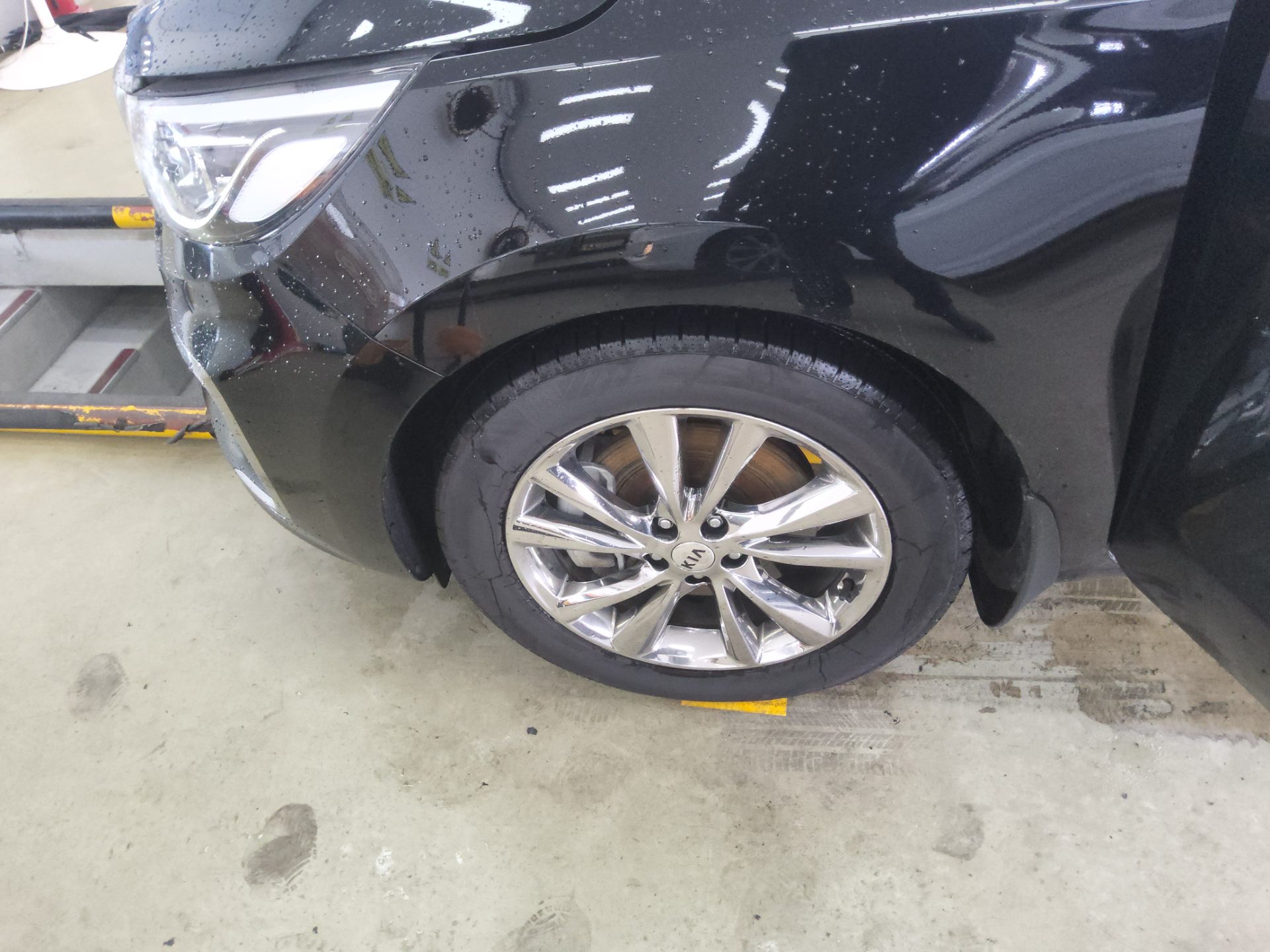 2019 - kia carnival