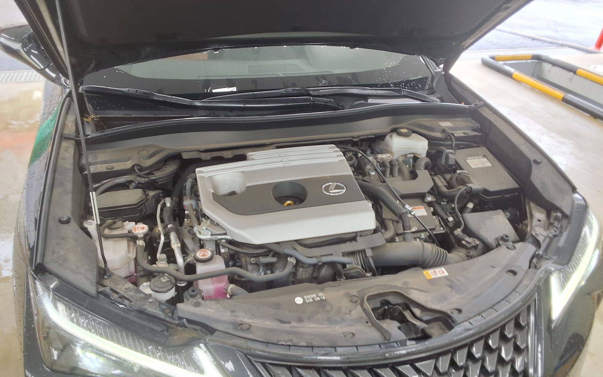 2024 - lexus ux 250h