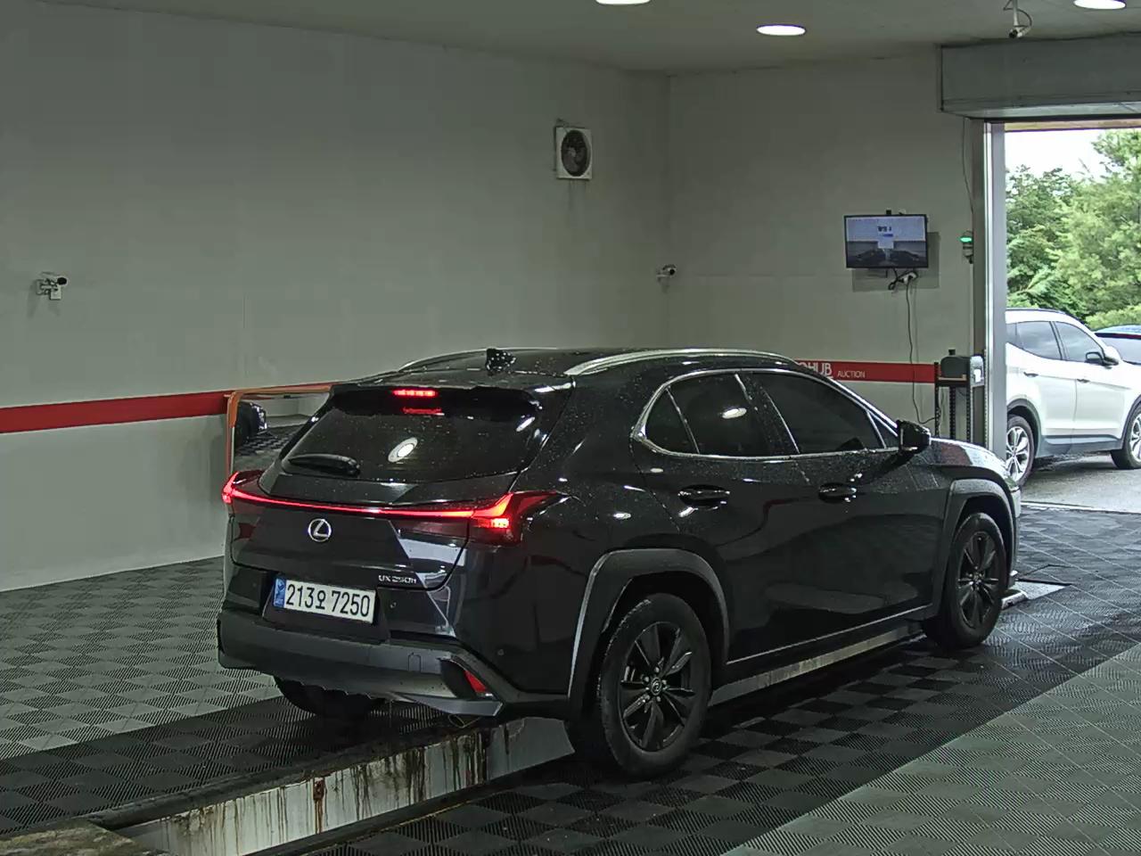2024 - lexus ux 250h