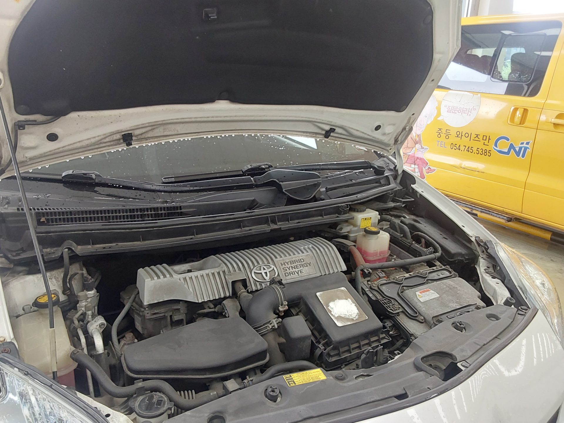 2010 - toyota prius