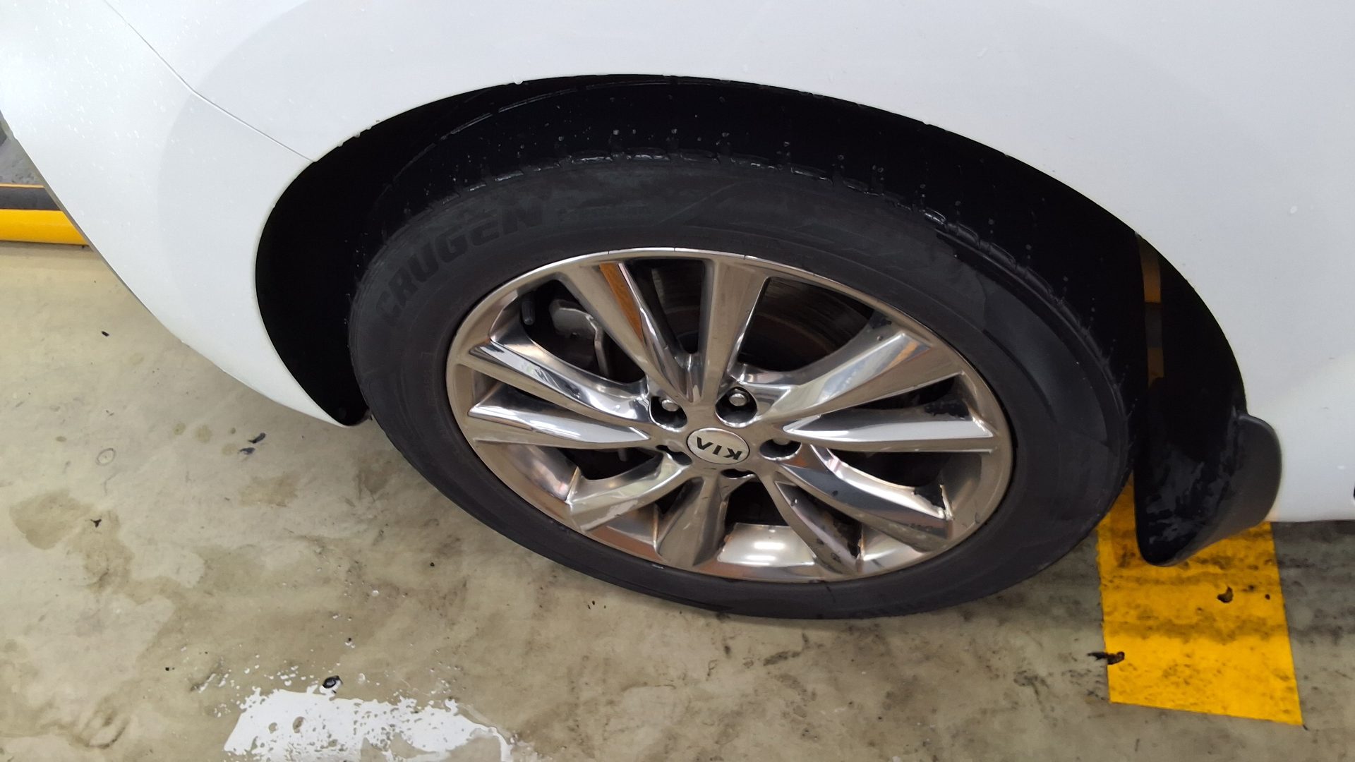 2019 - kia carnival