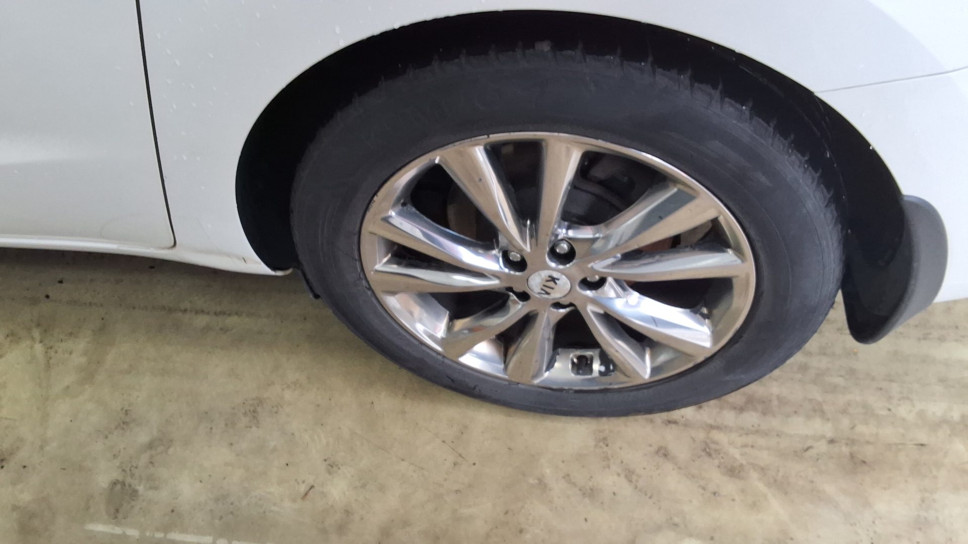 2019 - kia carnival