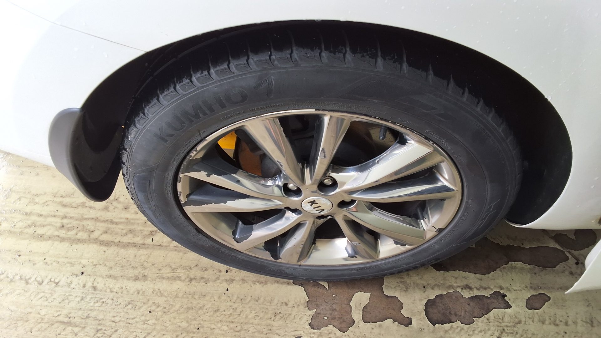 2019 - kia carnival