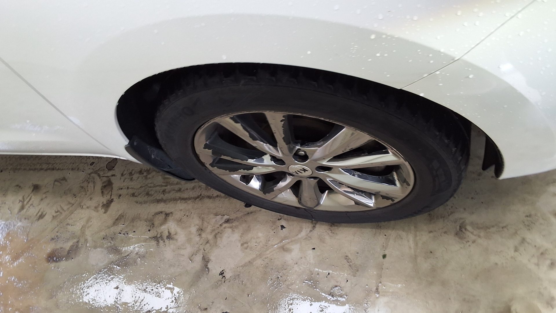2019 - kia carnival