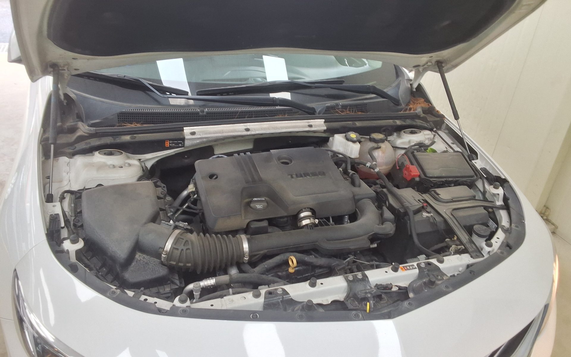 2021 - chevrolet malibu