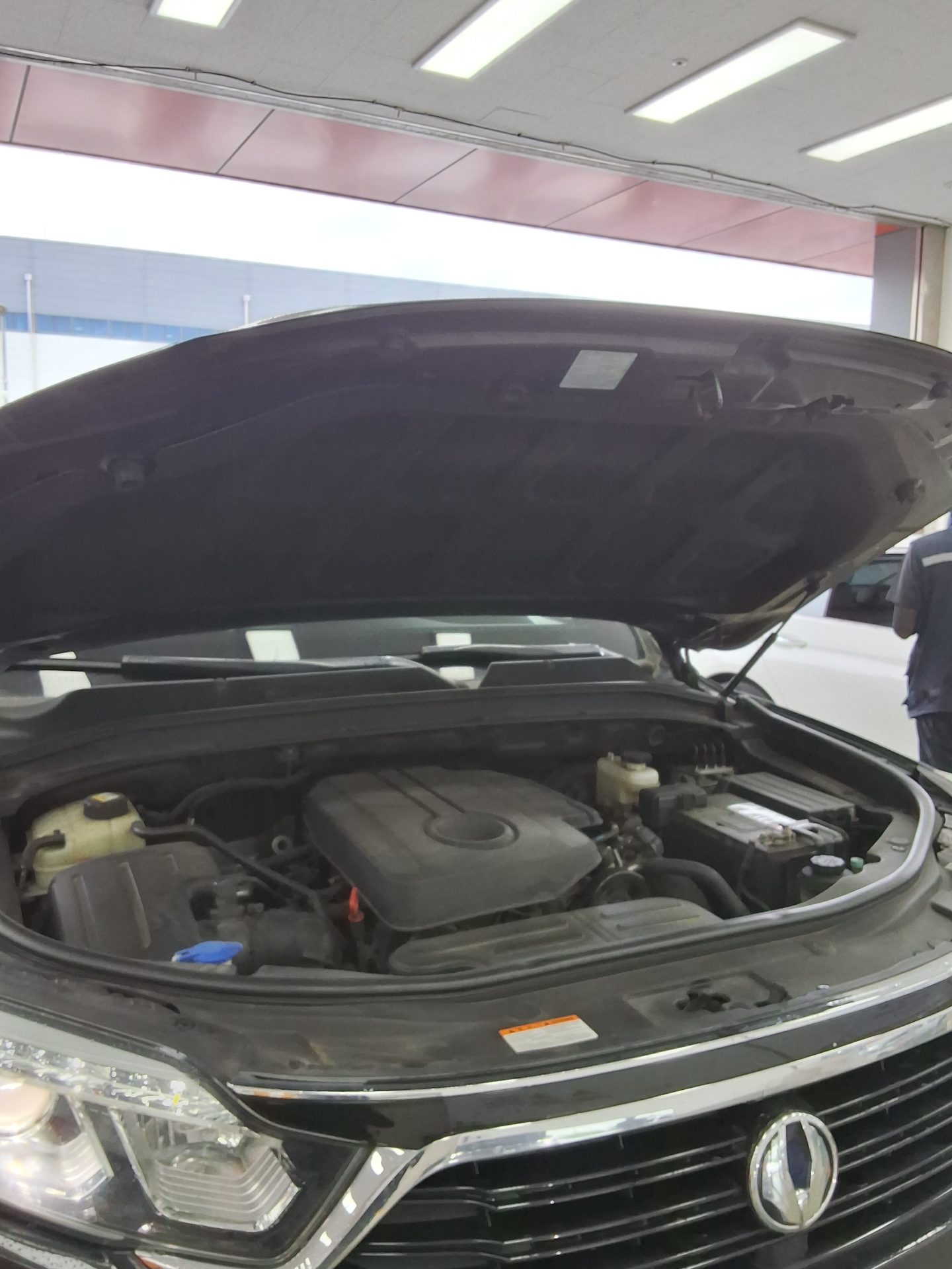 2018 - ssangyong rexton
