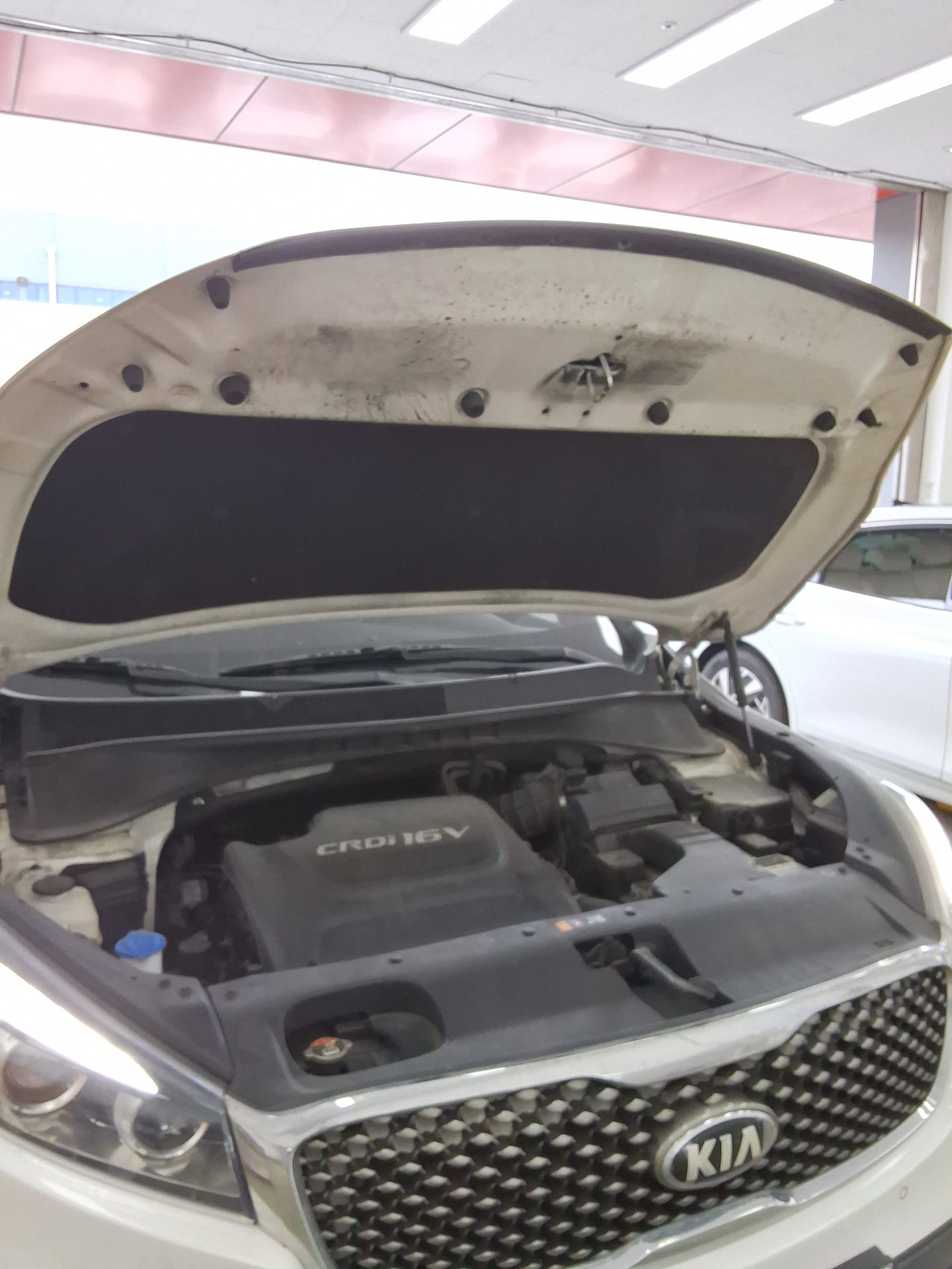 2016 - kia sorento