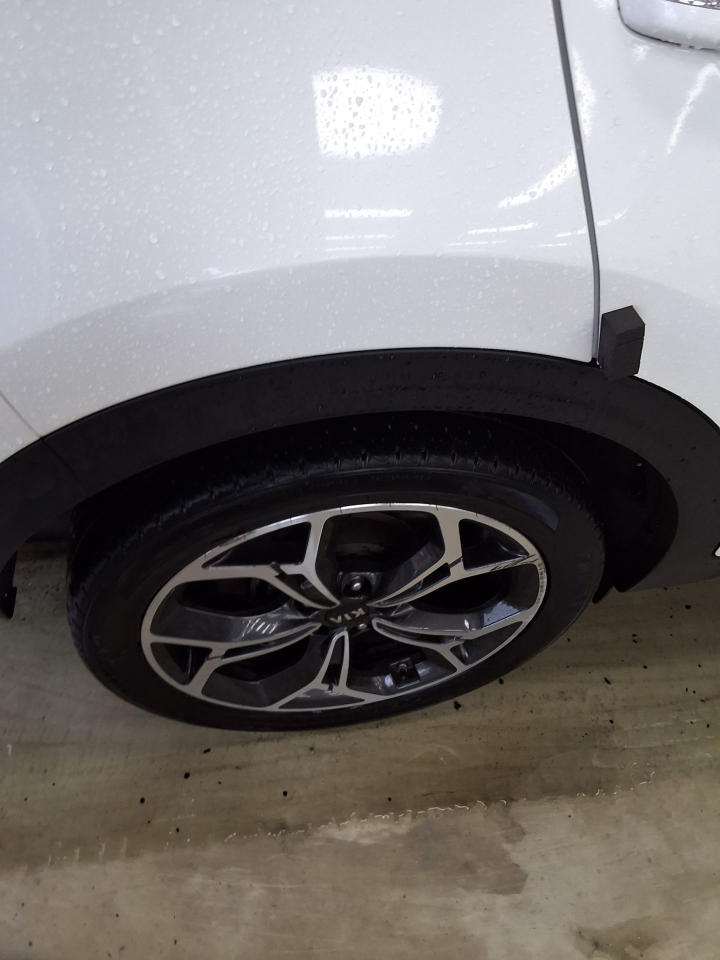 2019 - kia sportage