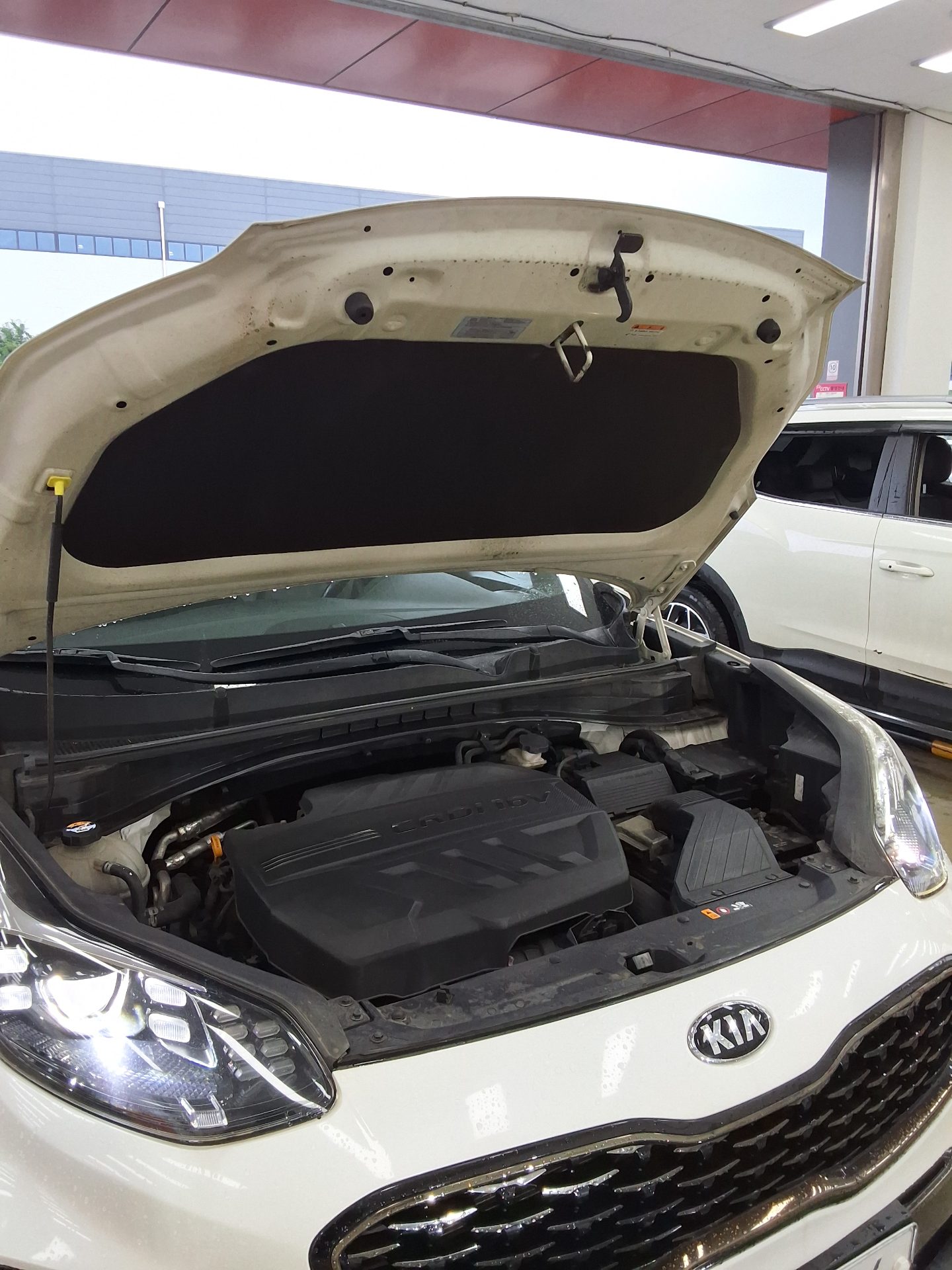 2019 - kia sportage