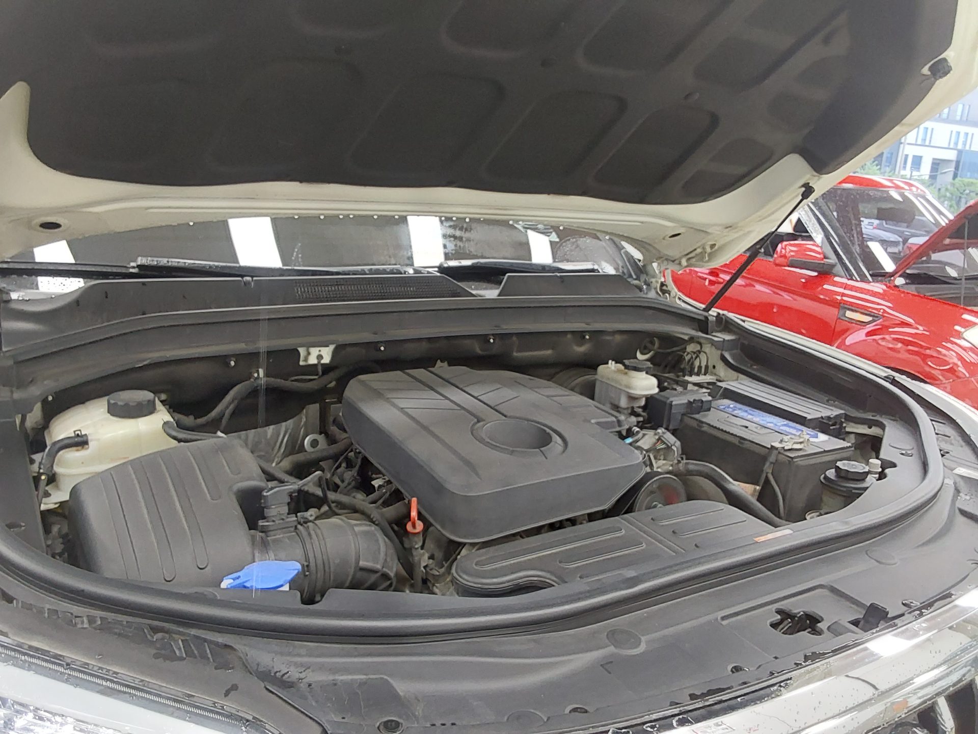 2019 - ssangyong rexton