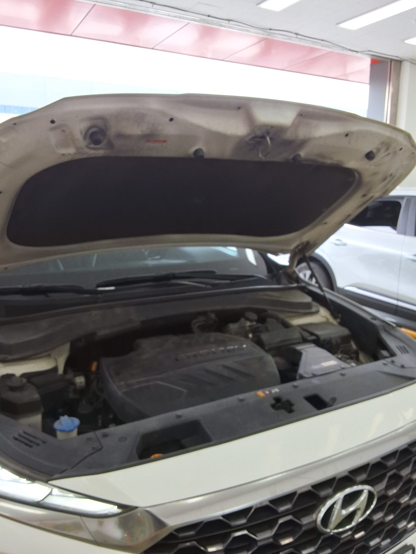 2019 - hyundai santa fe