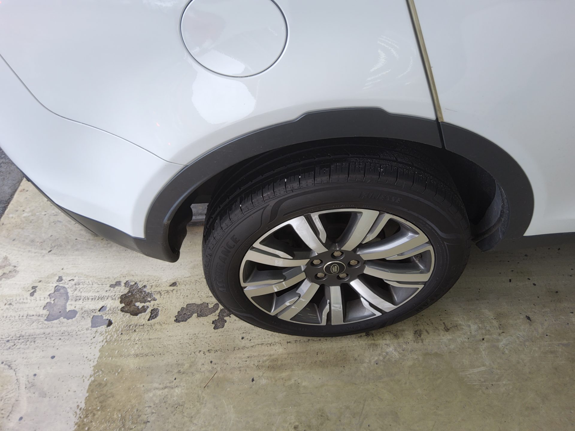 2019 - land rover discovery