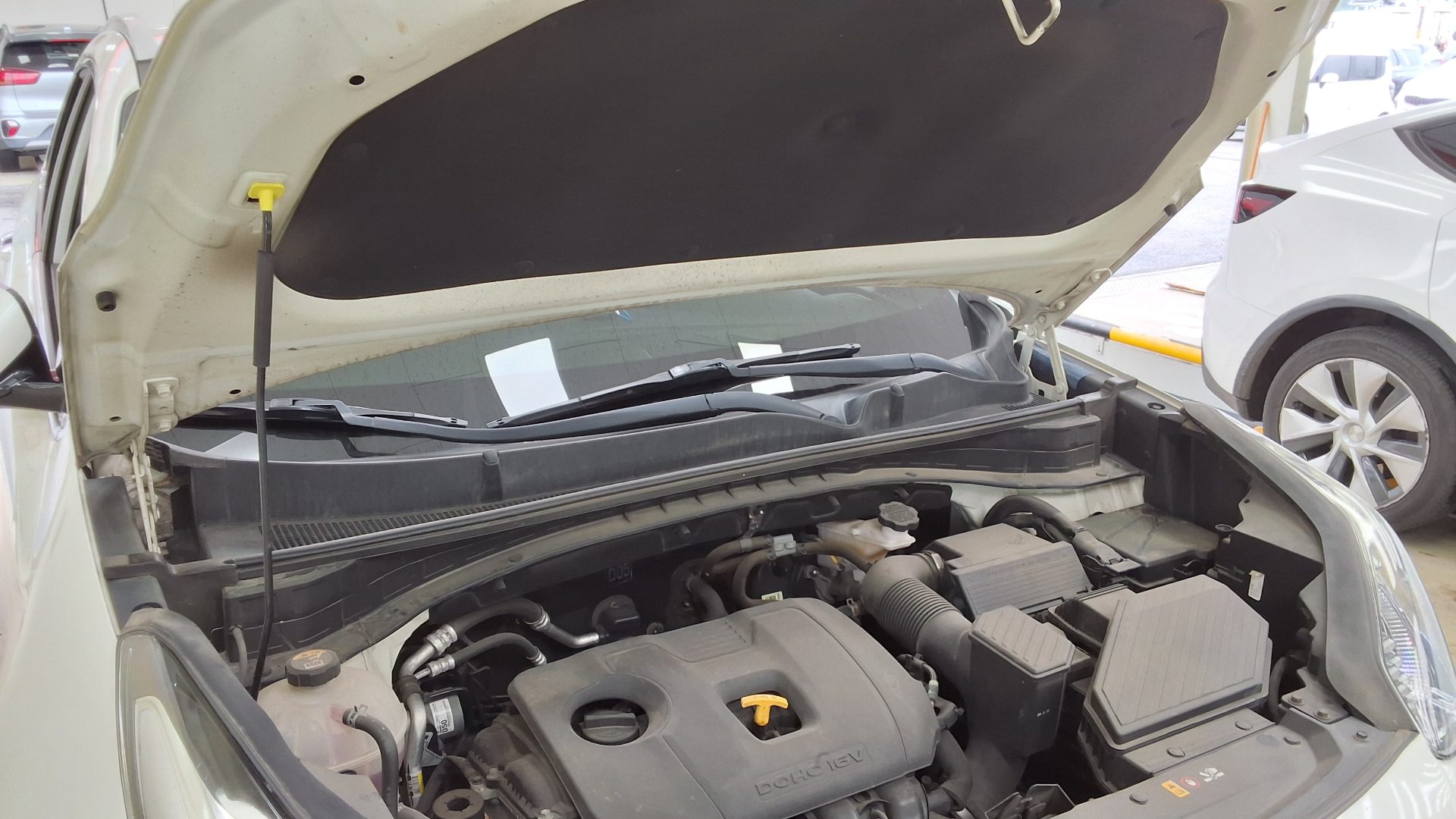 2019 - kia sportage