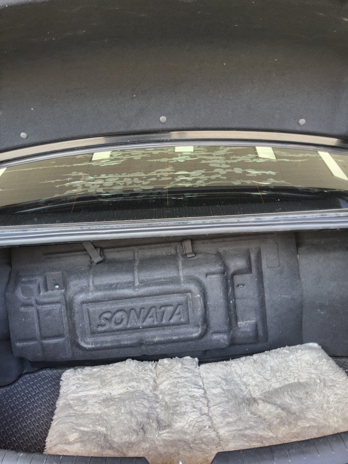 2019 - hyundai sonata