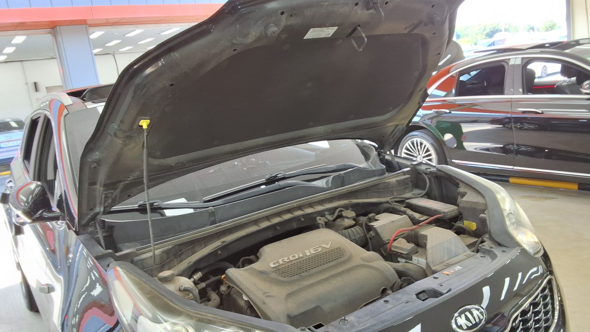 2016 - kia sportage