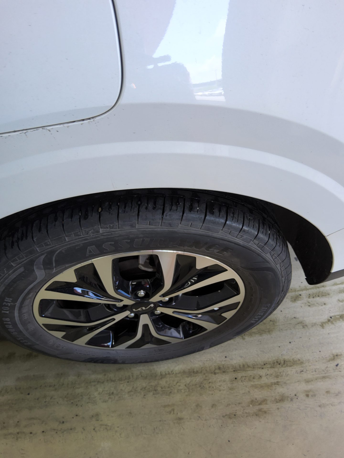 2023 - kia carnival