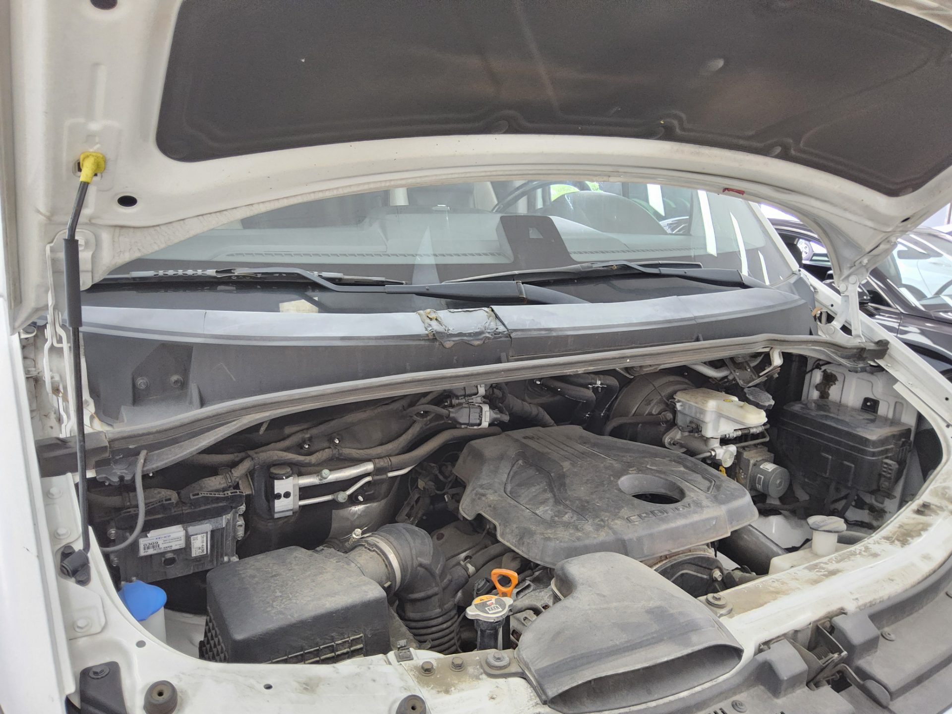 2021 - hyundai solati