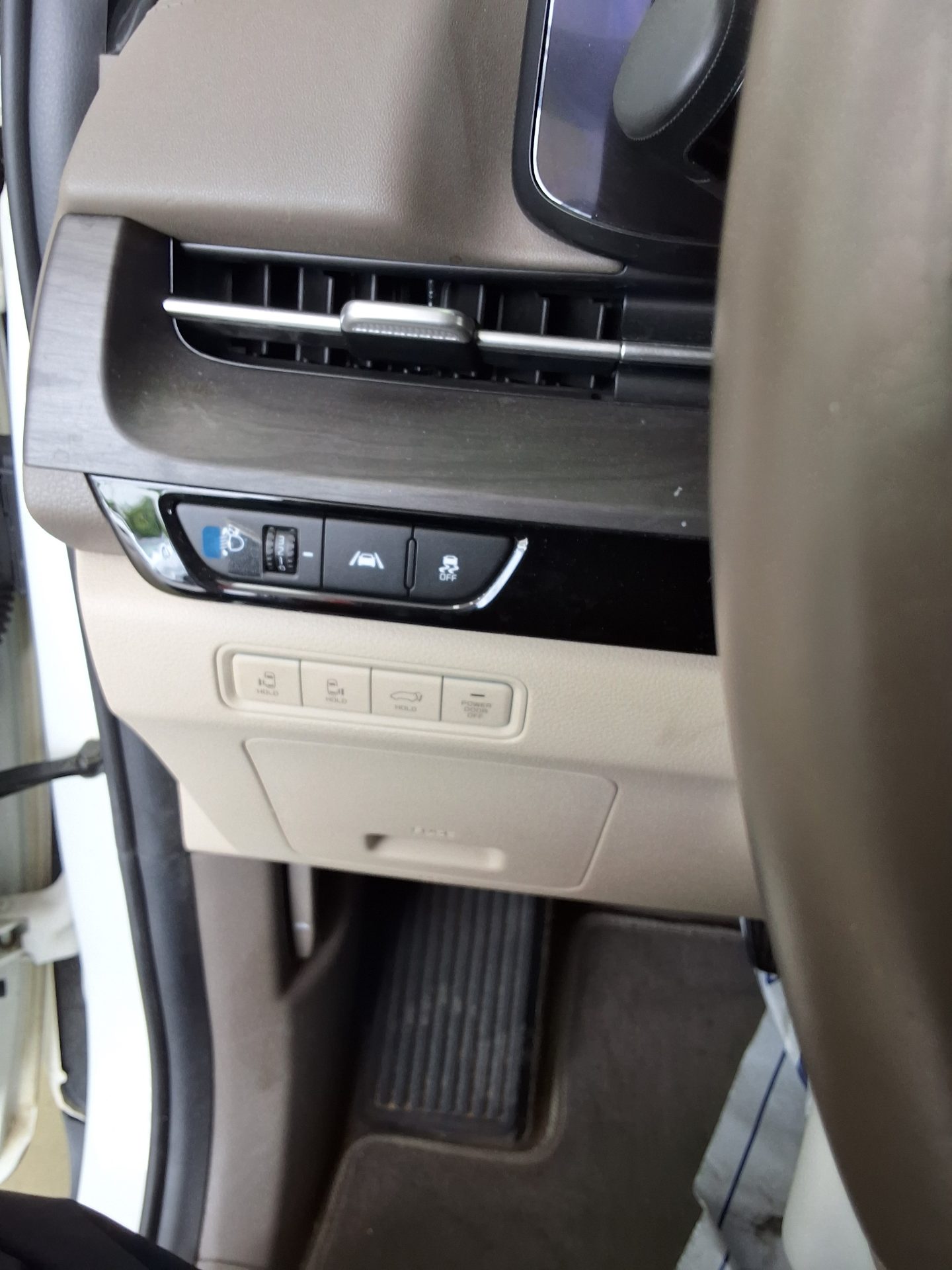 2021 - kia carnival