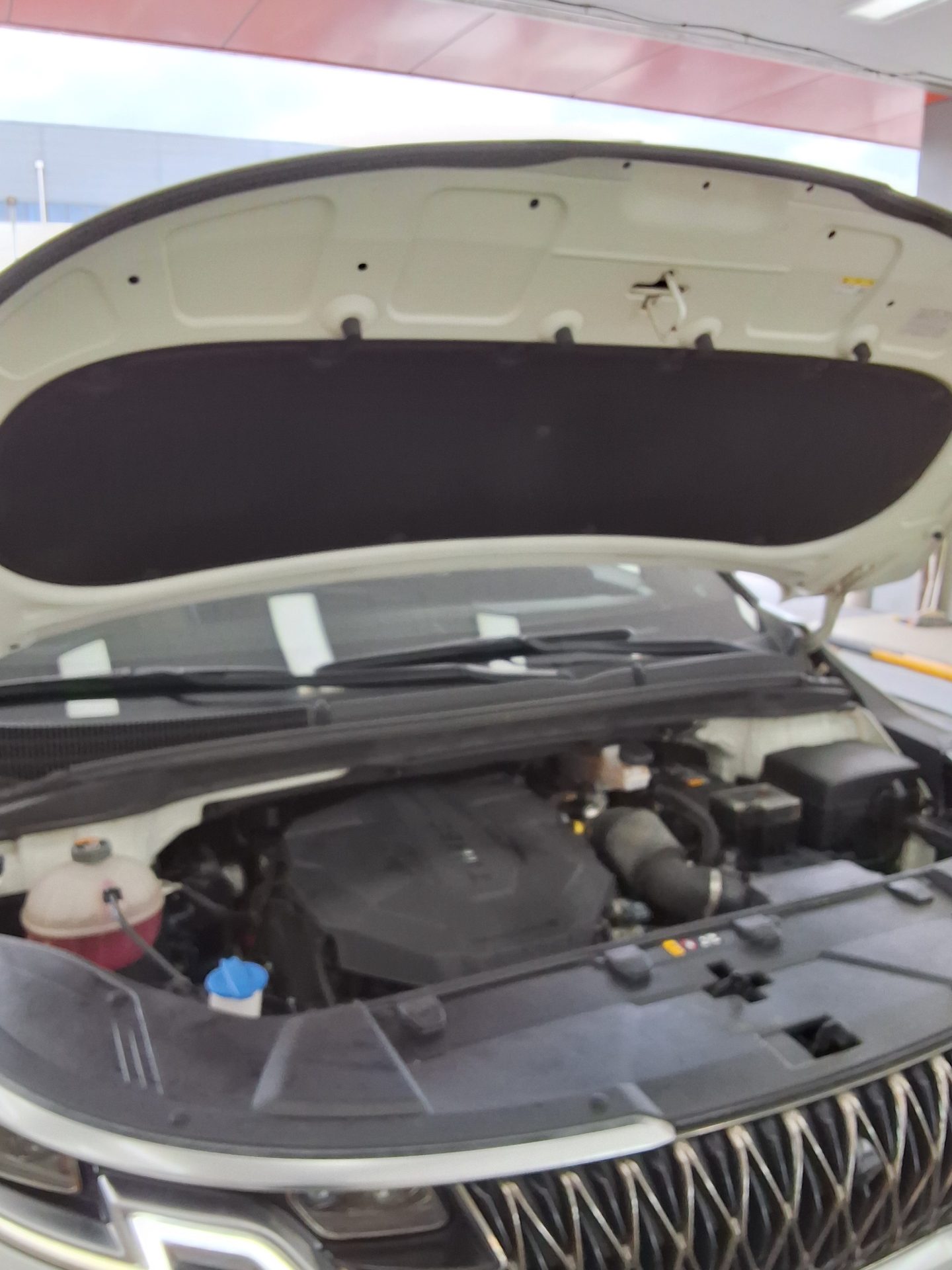 2021 - kia carnival
