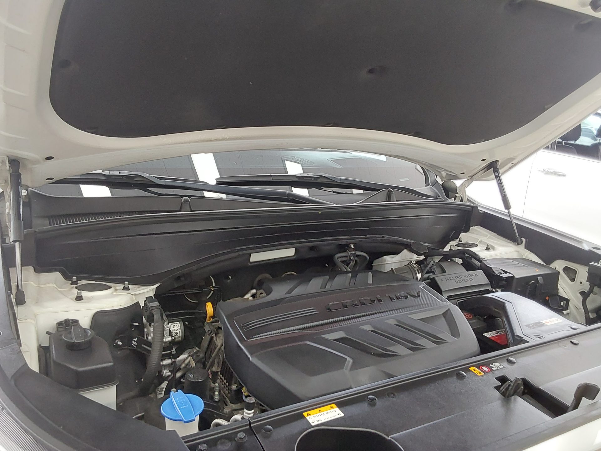 2019 - hyundai palisade