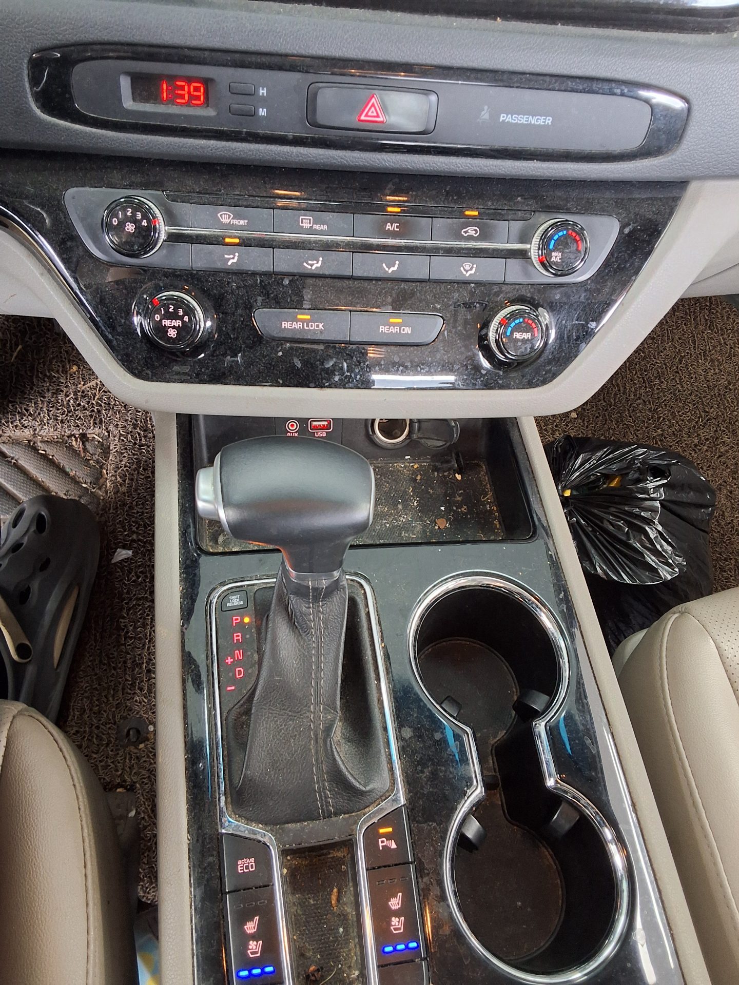 2019 - kia carnival