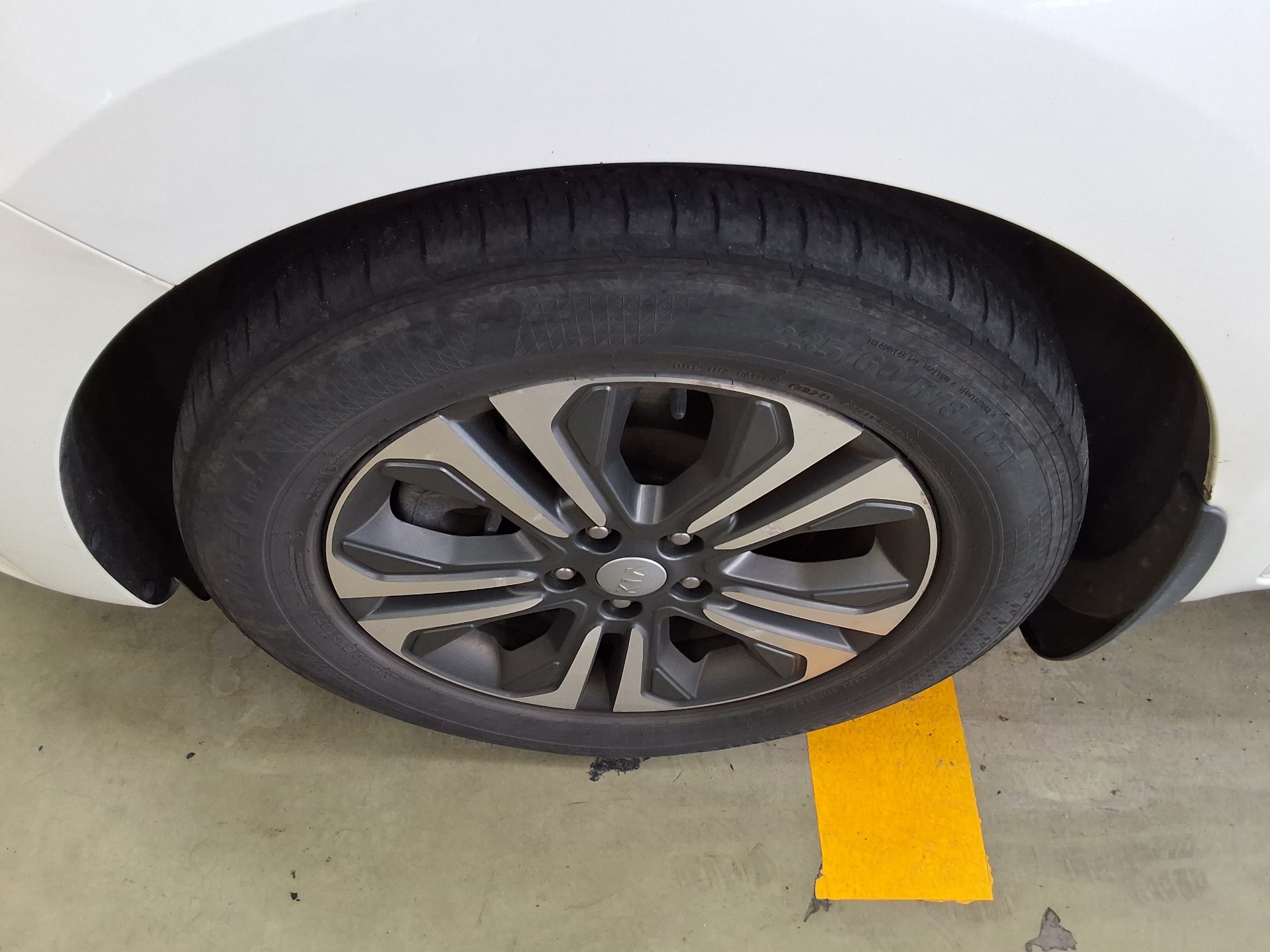 2019 - kia carnival