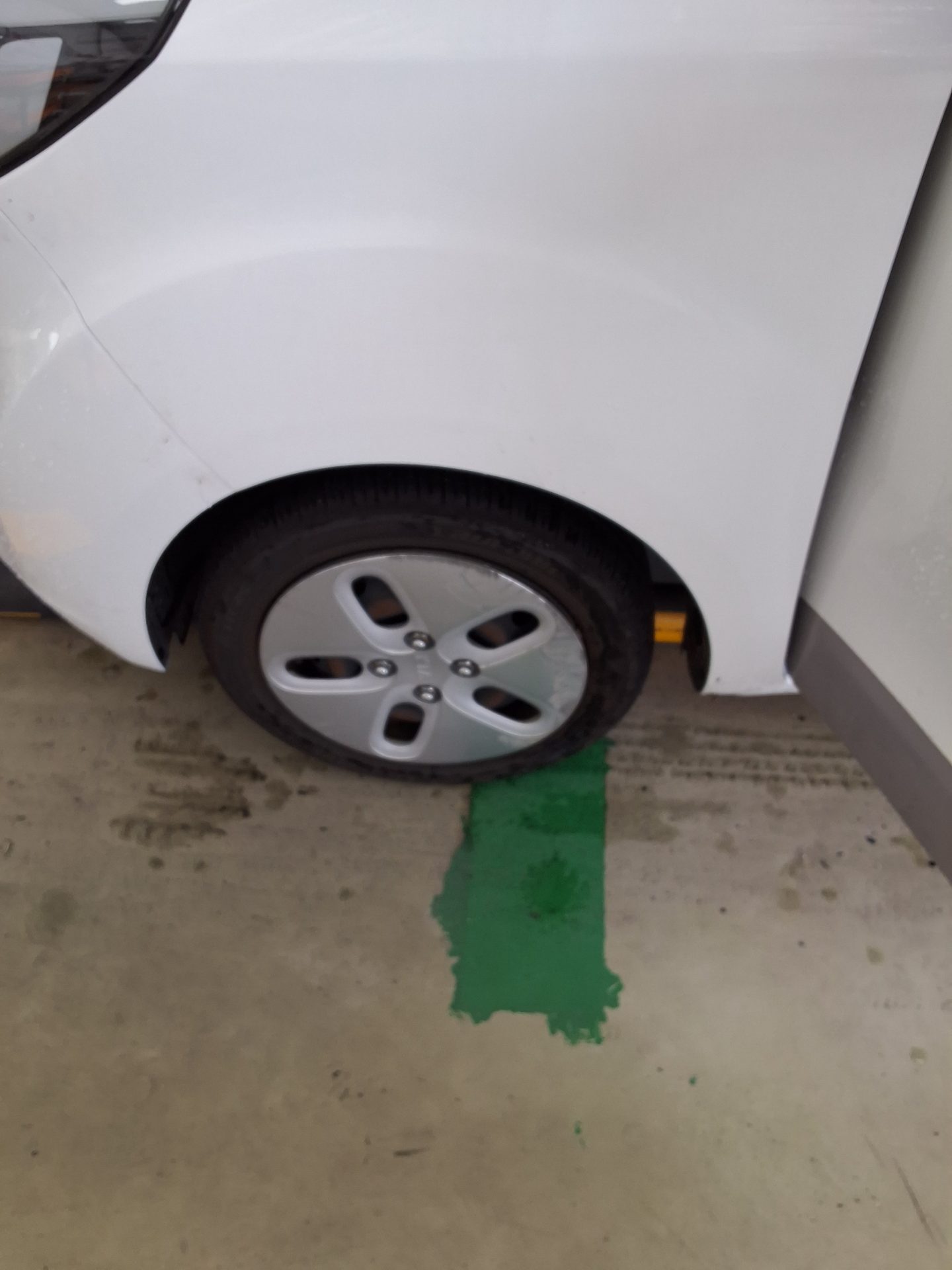 2019 - kia ray