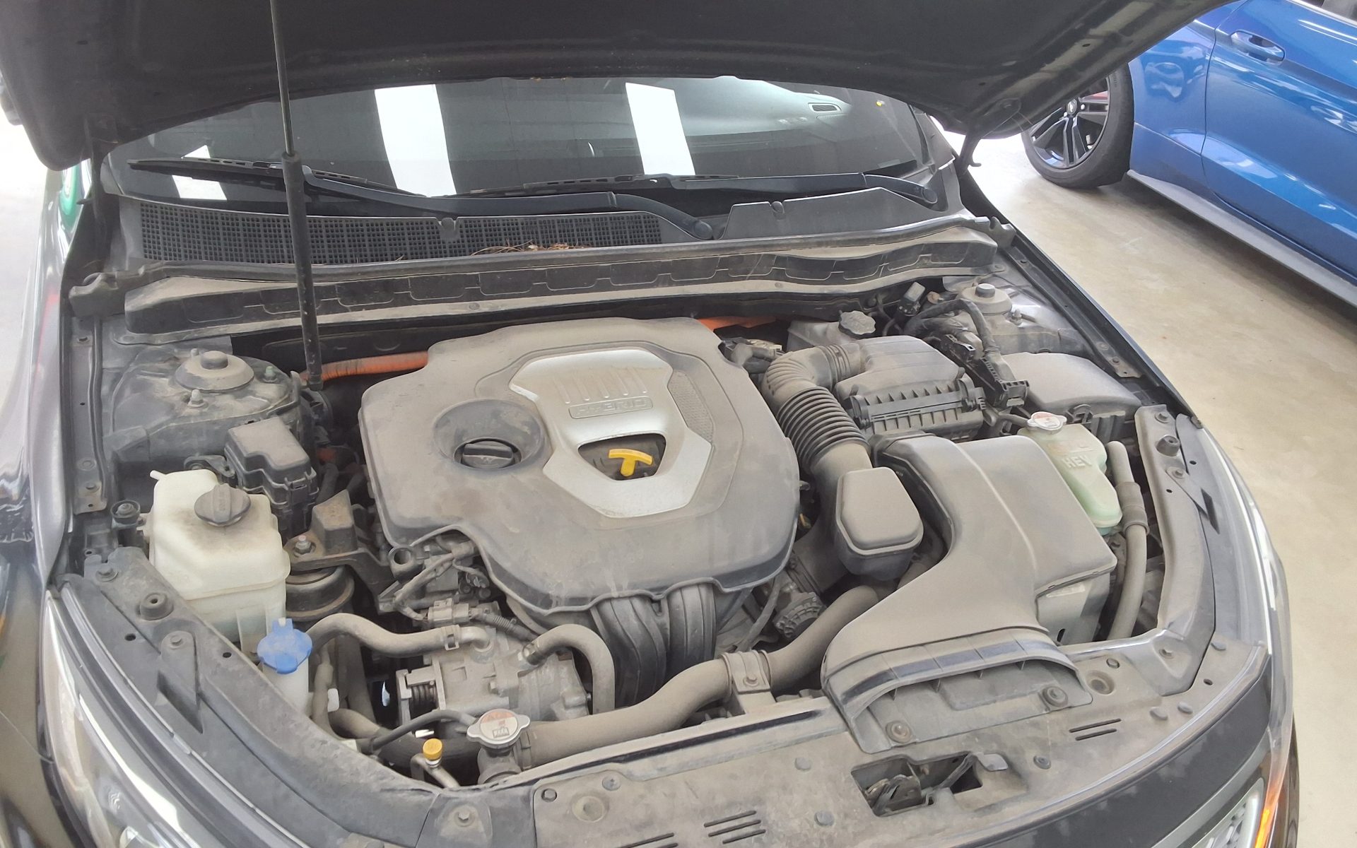 2015 - kia k5