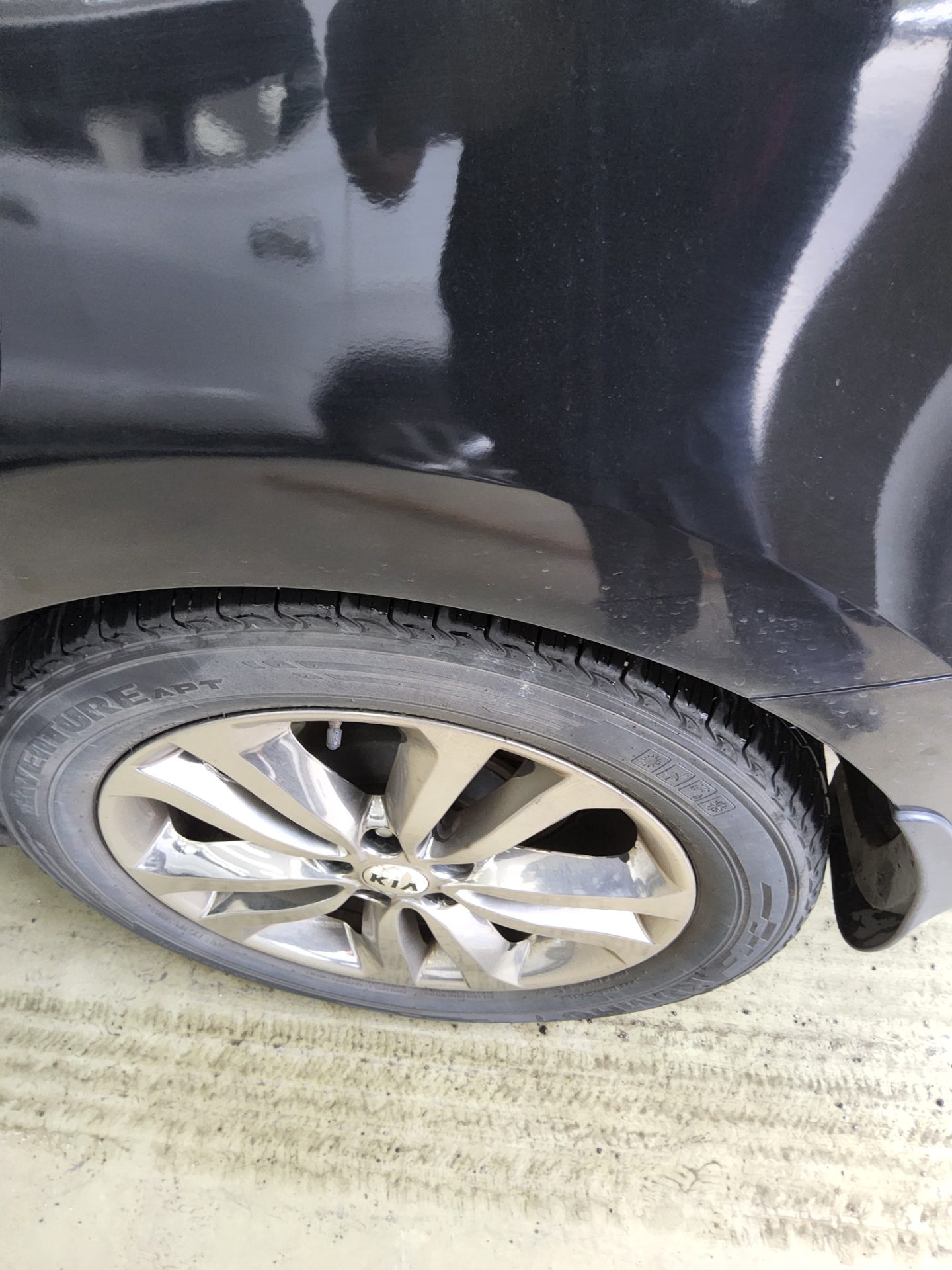 2017 - kia carnival