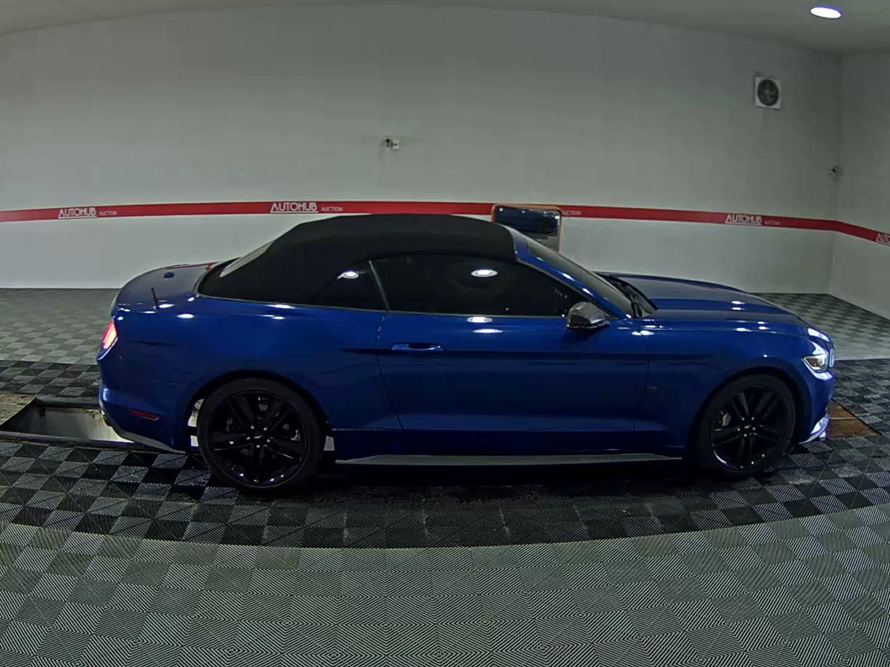 2017 - ford mustang