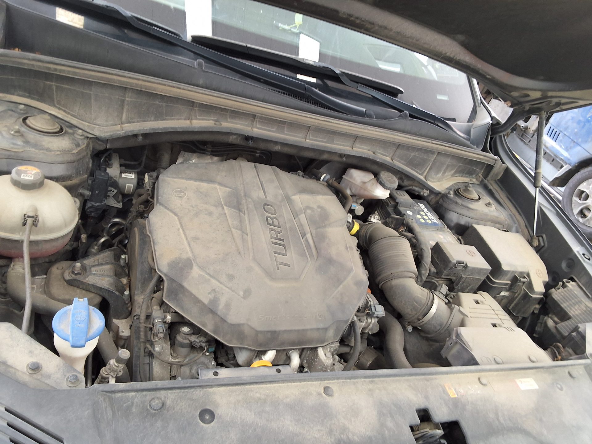 2021 - kia sorento