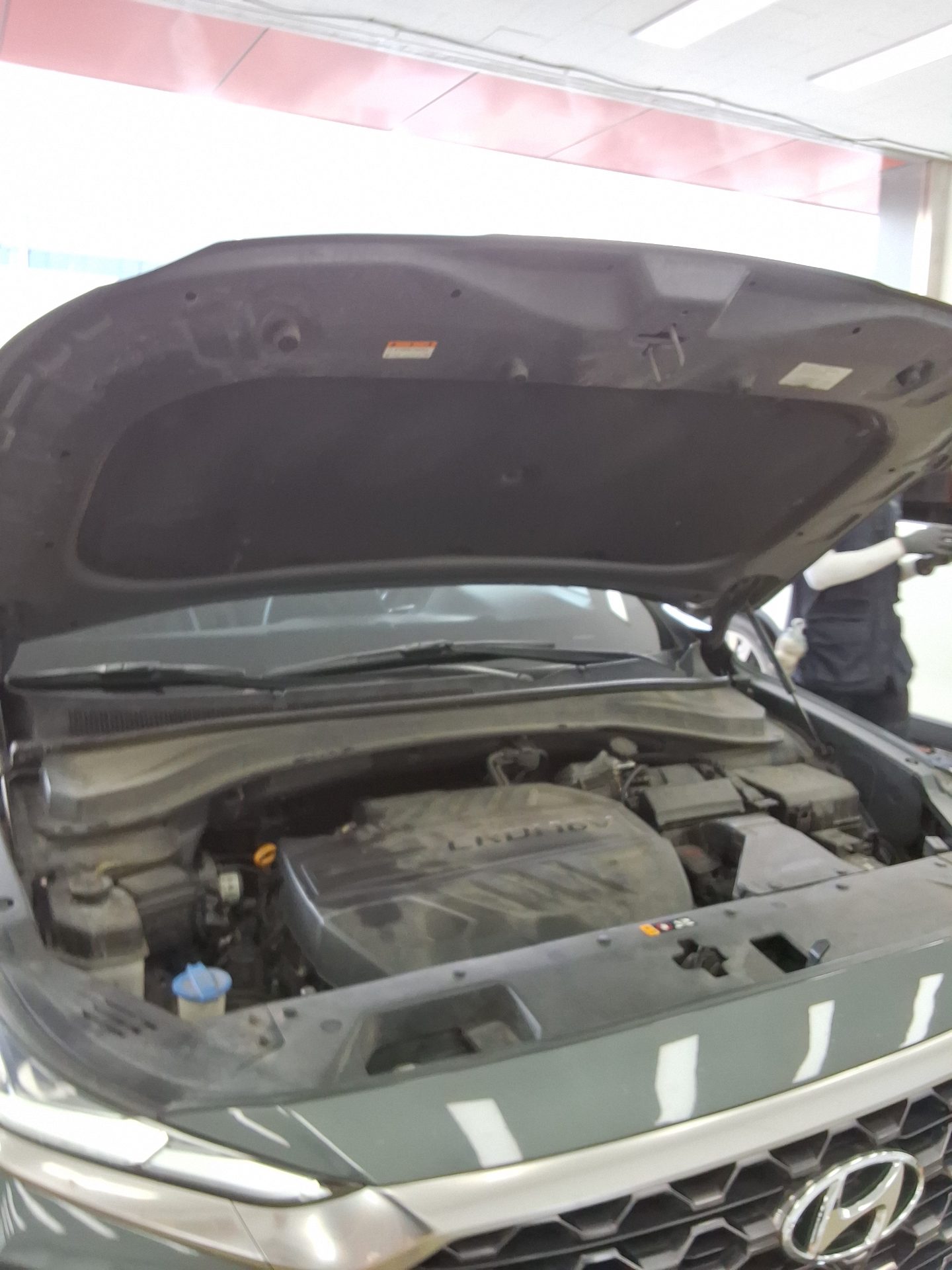 2019 - hyundai santa fe
