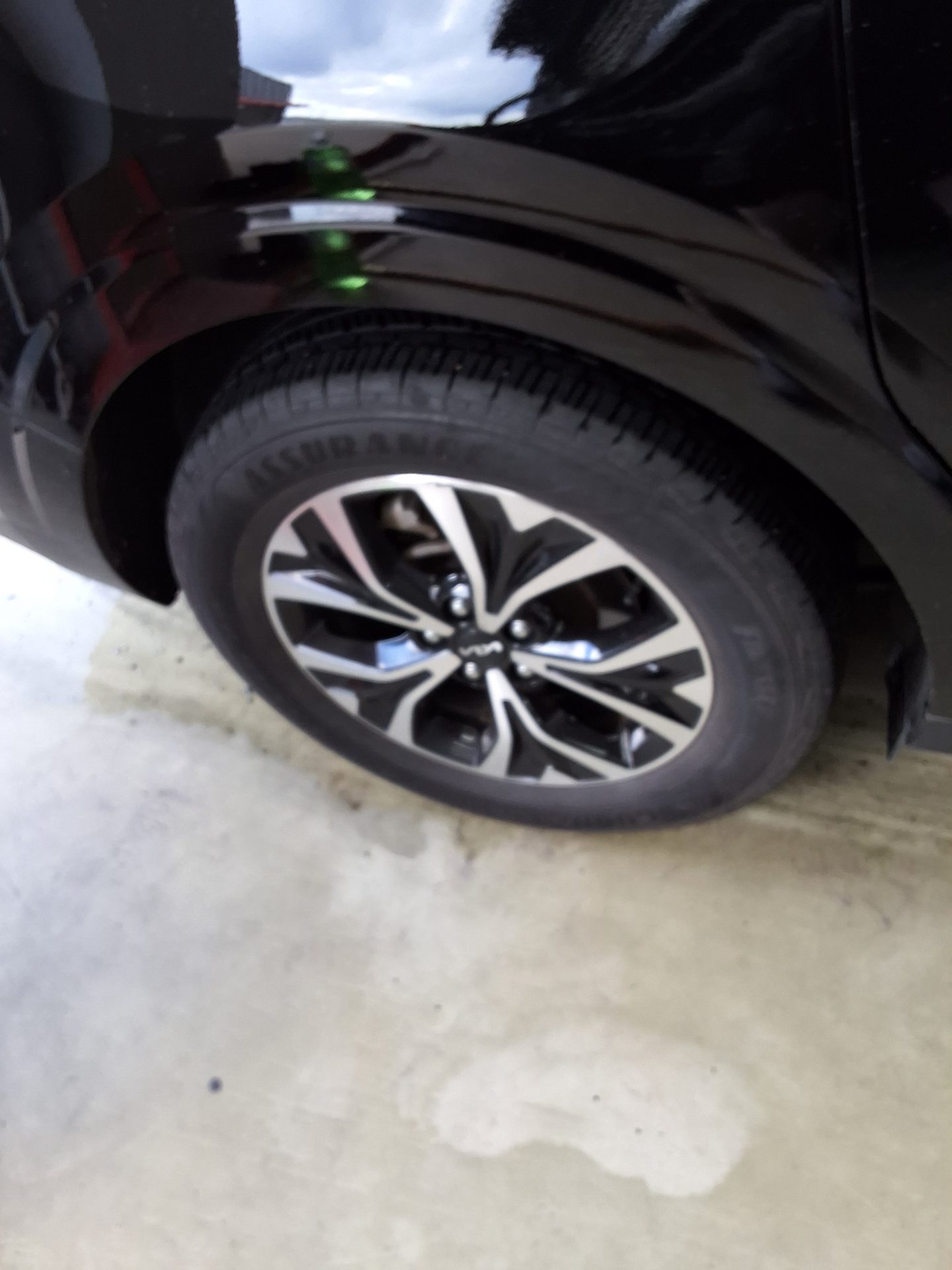 2023 - kia carnival