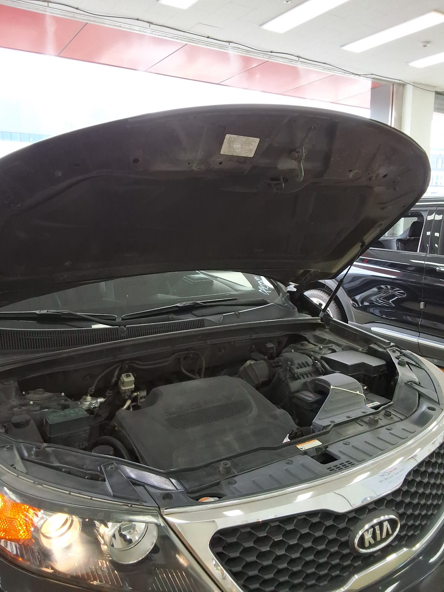 2011 - kia sorento