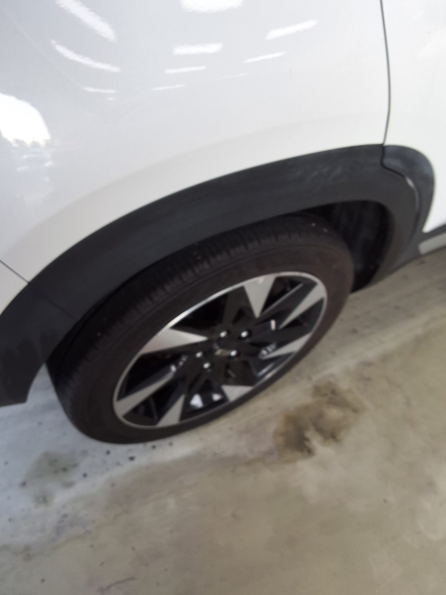 2021 - kia seltos