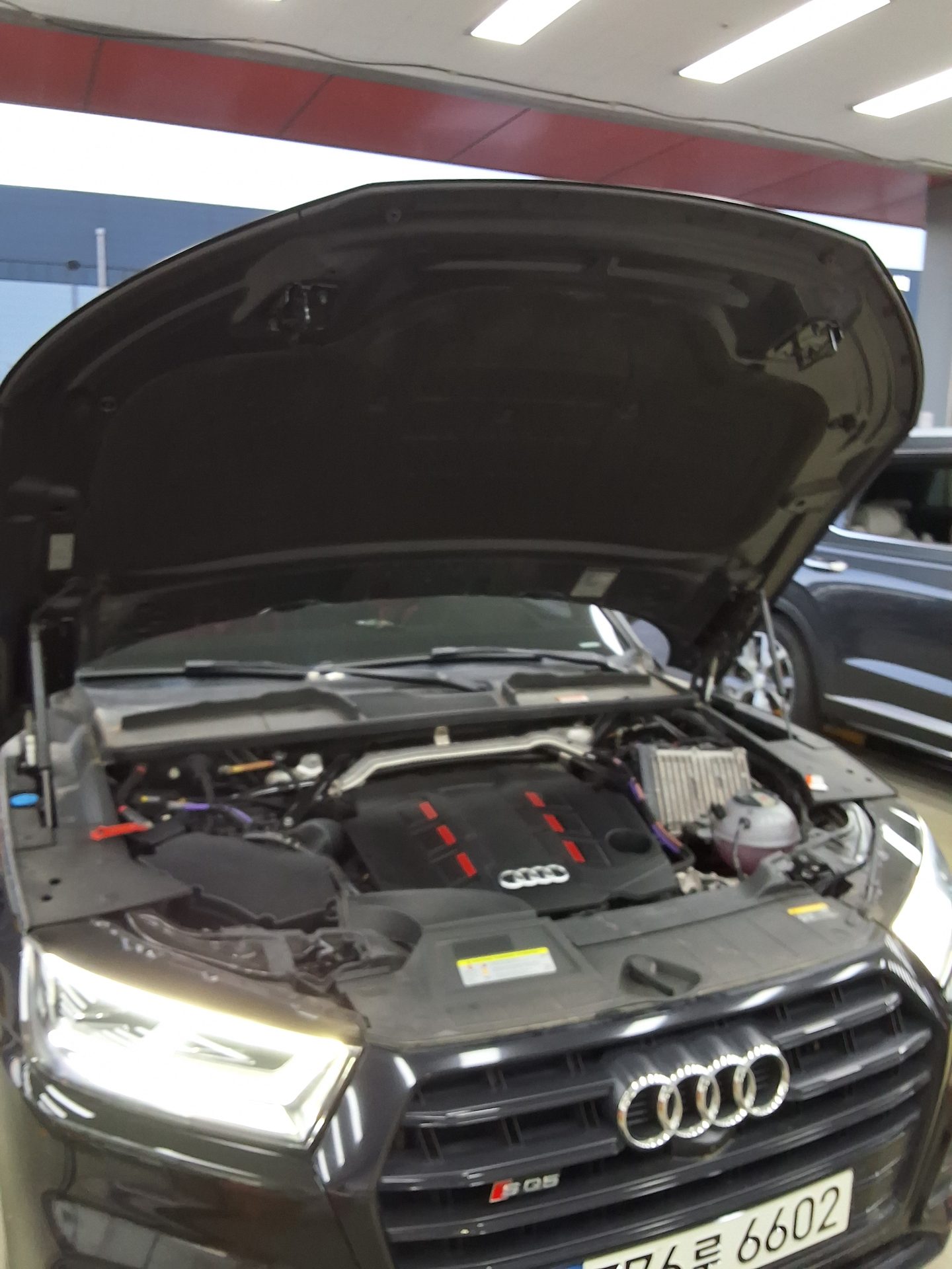 2020 - audi sq5