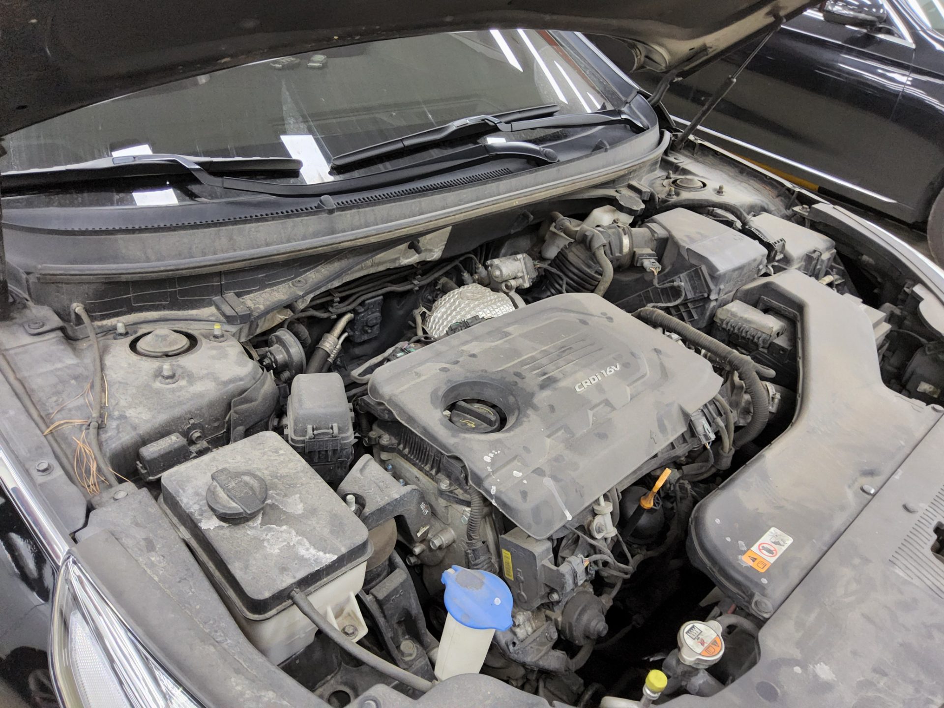 2017 - hyundai sonata