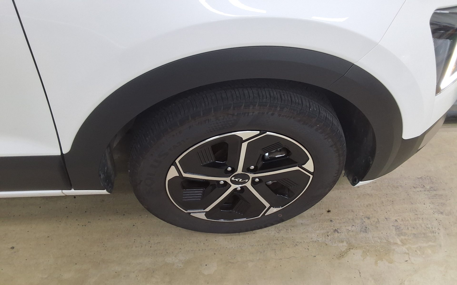 2025 - kia niro