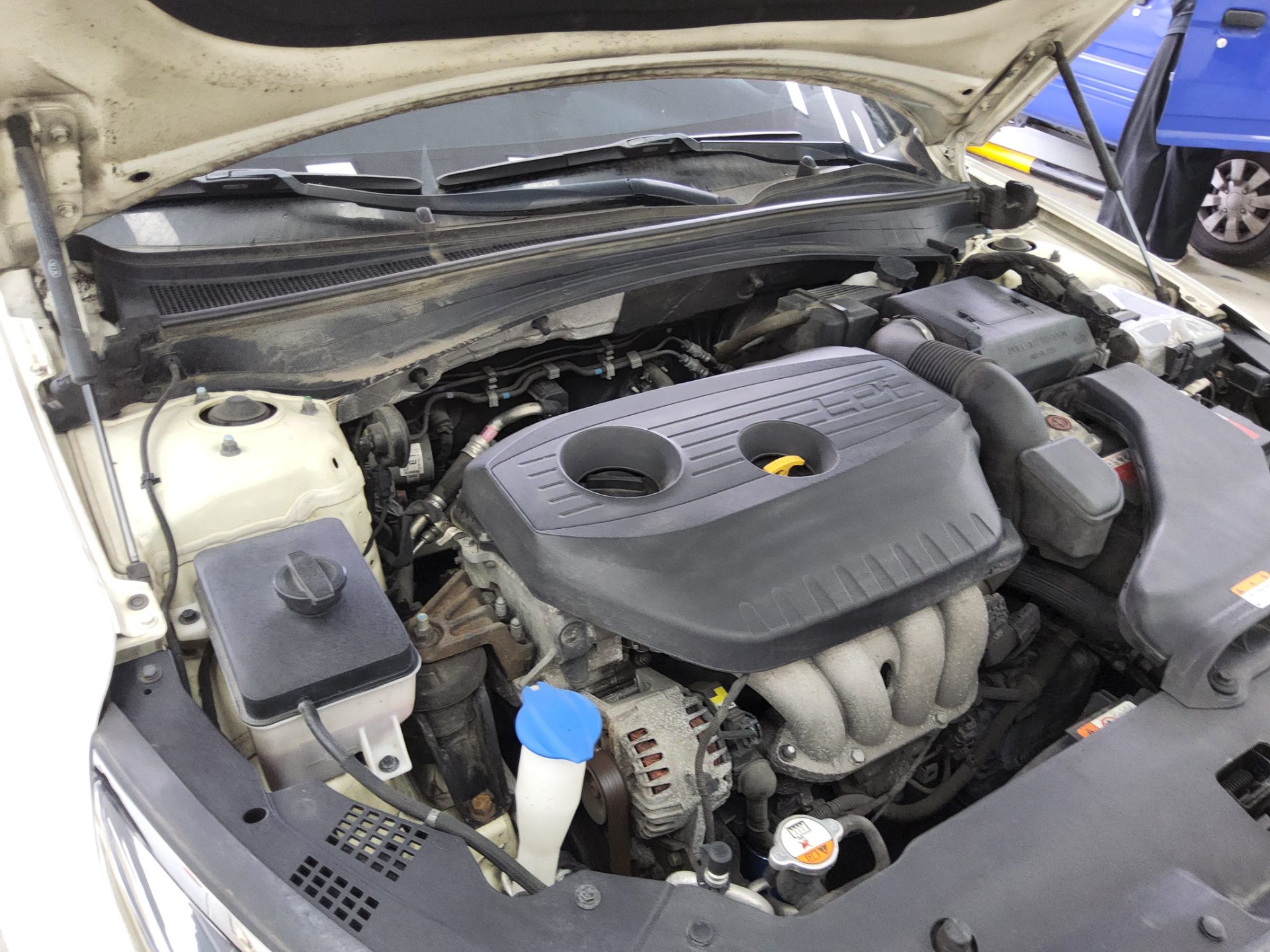 2019 - kia k5