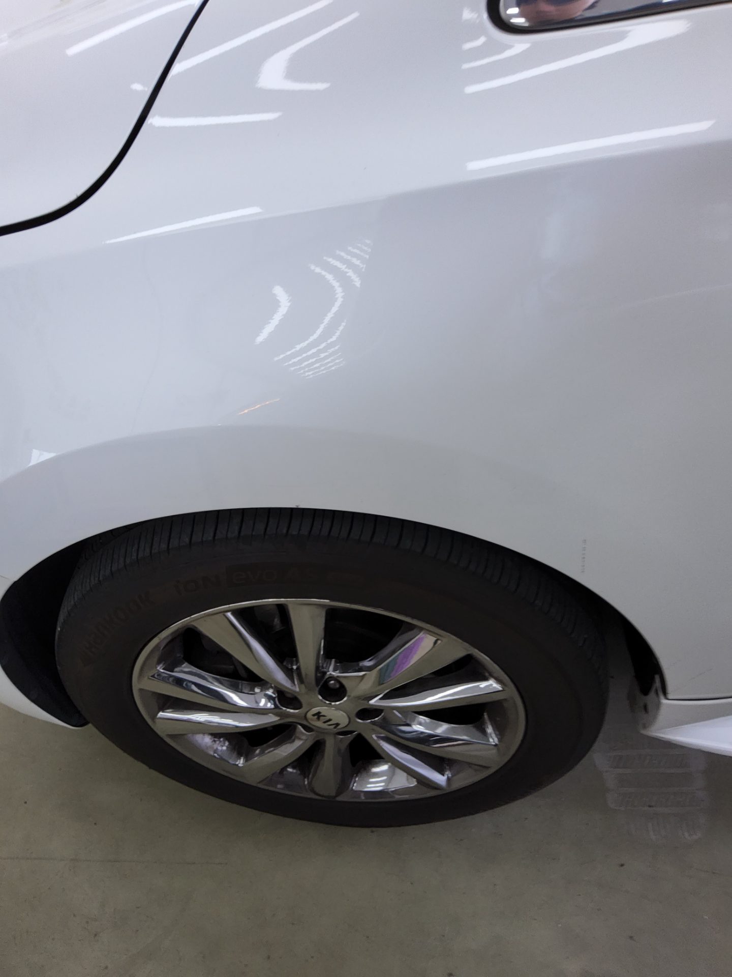 2019 - kia carnival