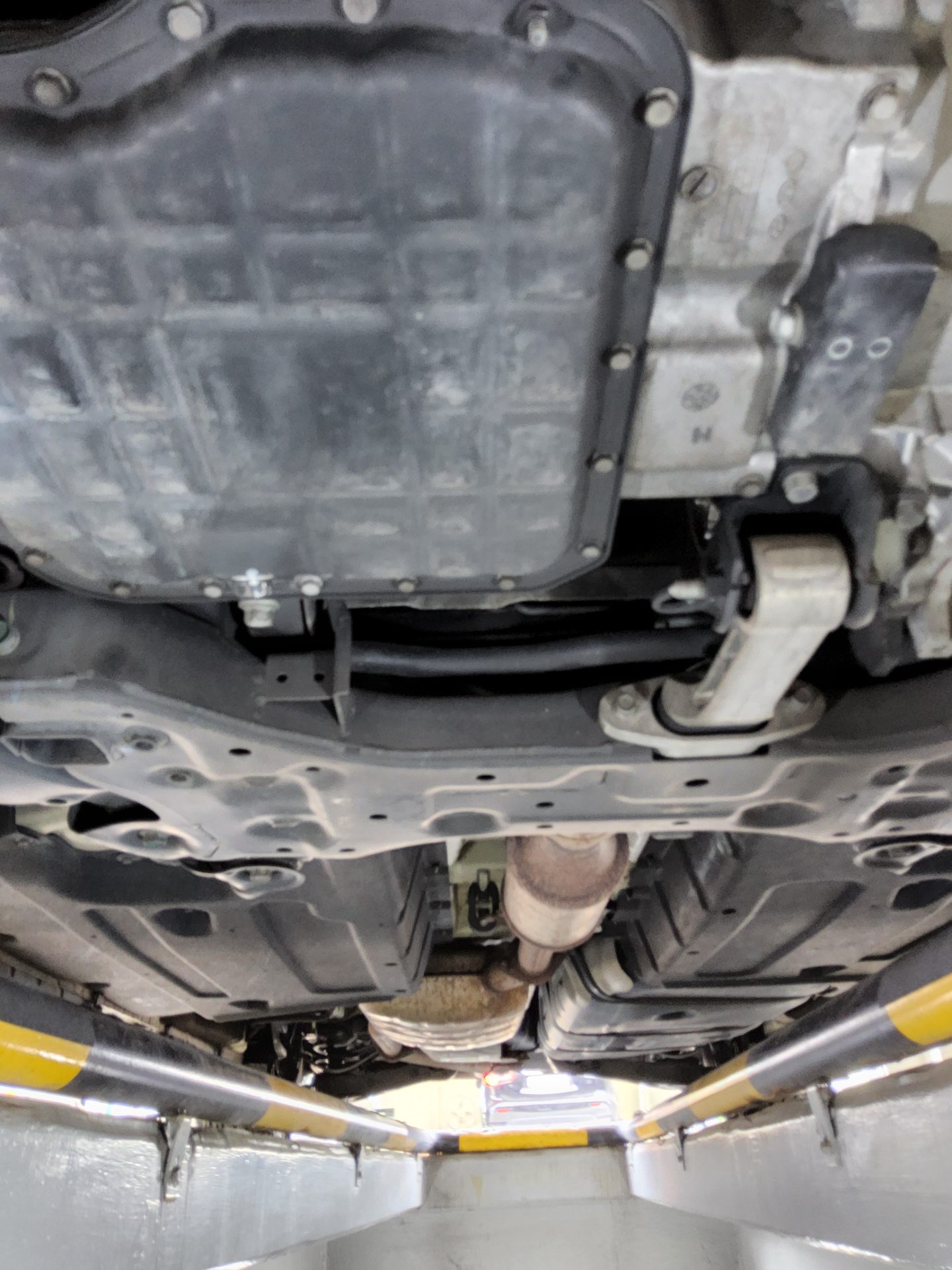 2019 - kia carnival
