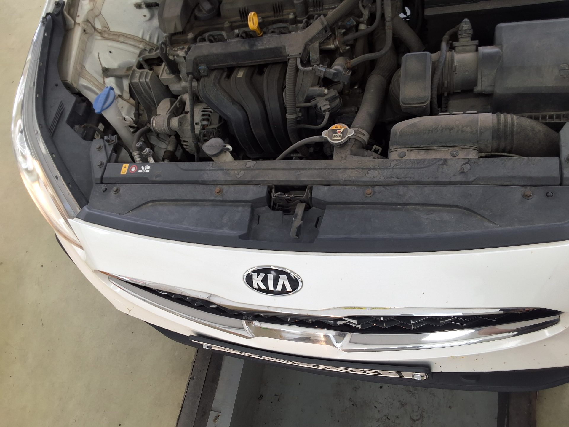 2019 - kia k3
