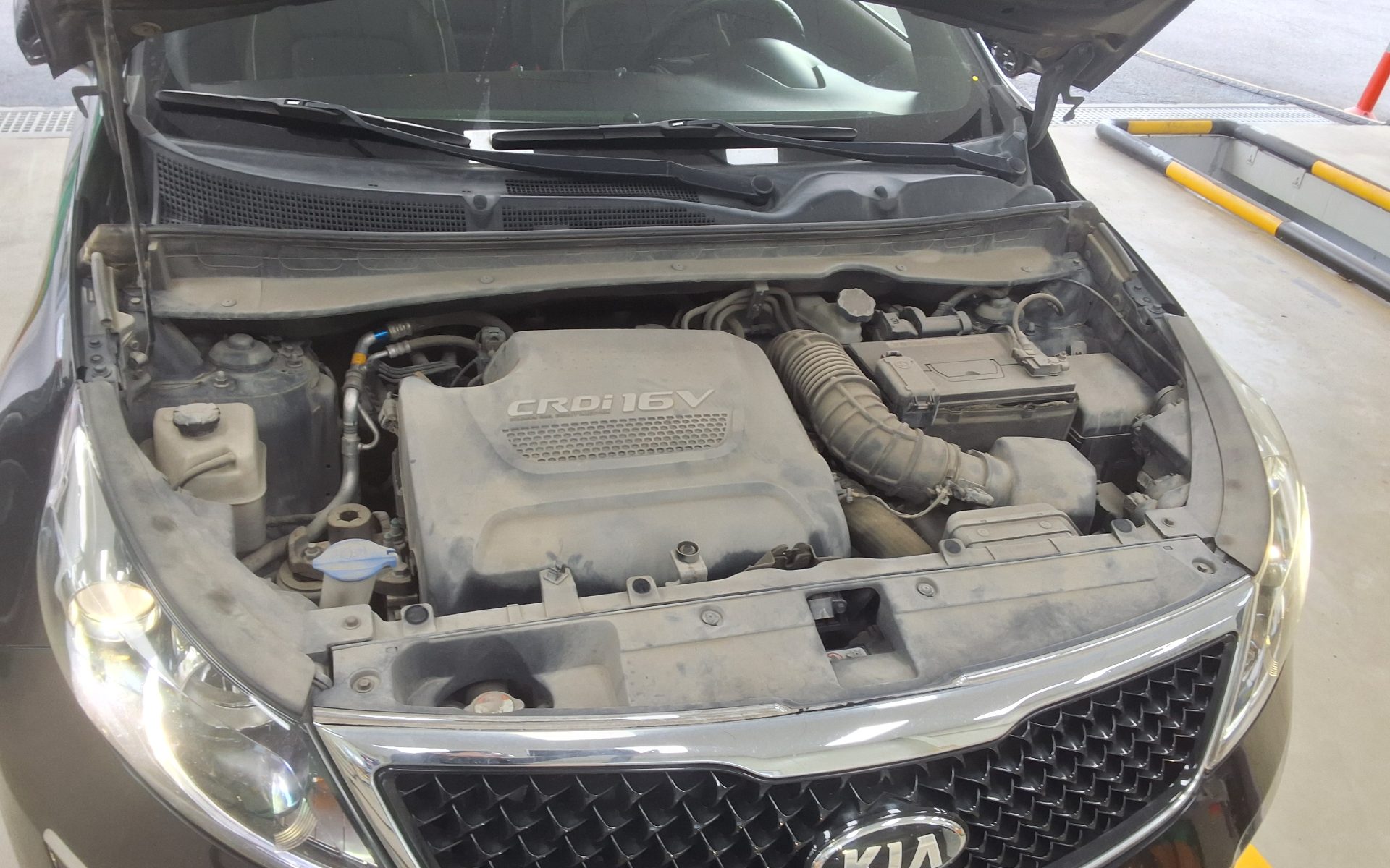 2014 - kia sportage