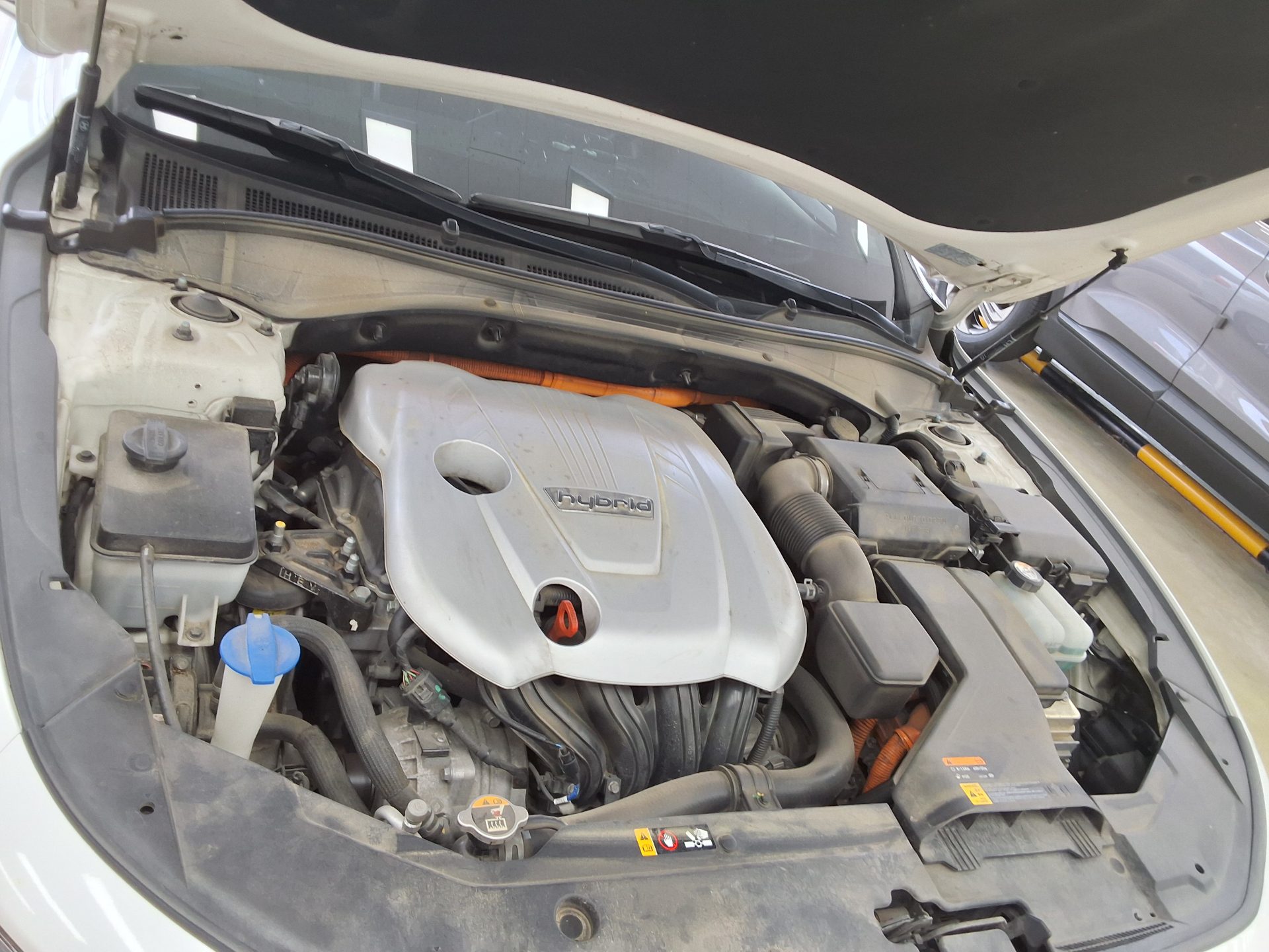 2019 - hyundai grandeur