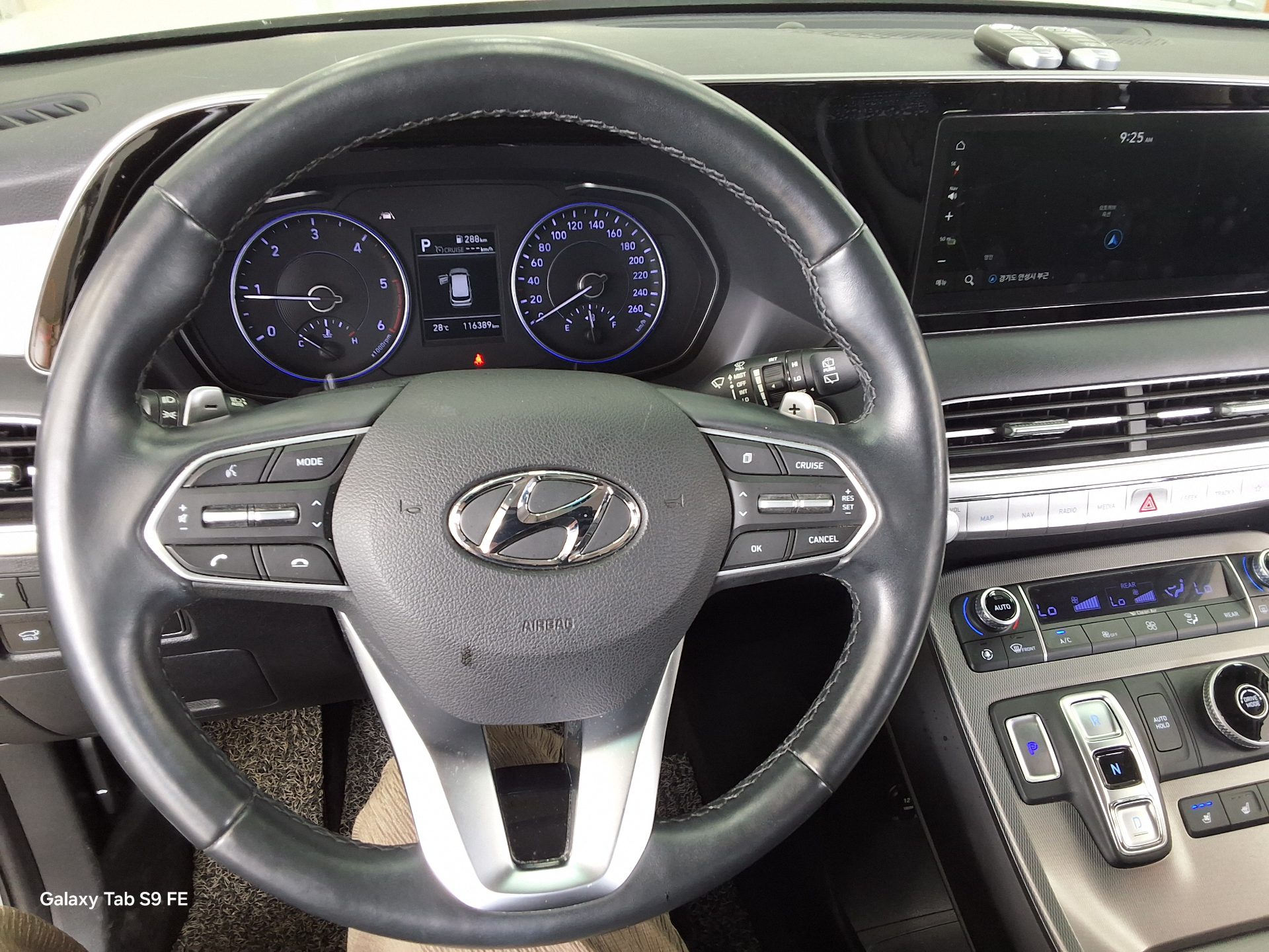 2019 - hyundai palisade