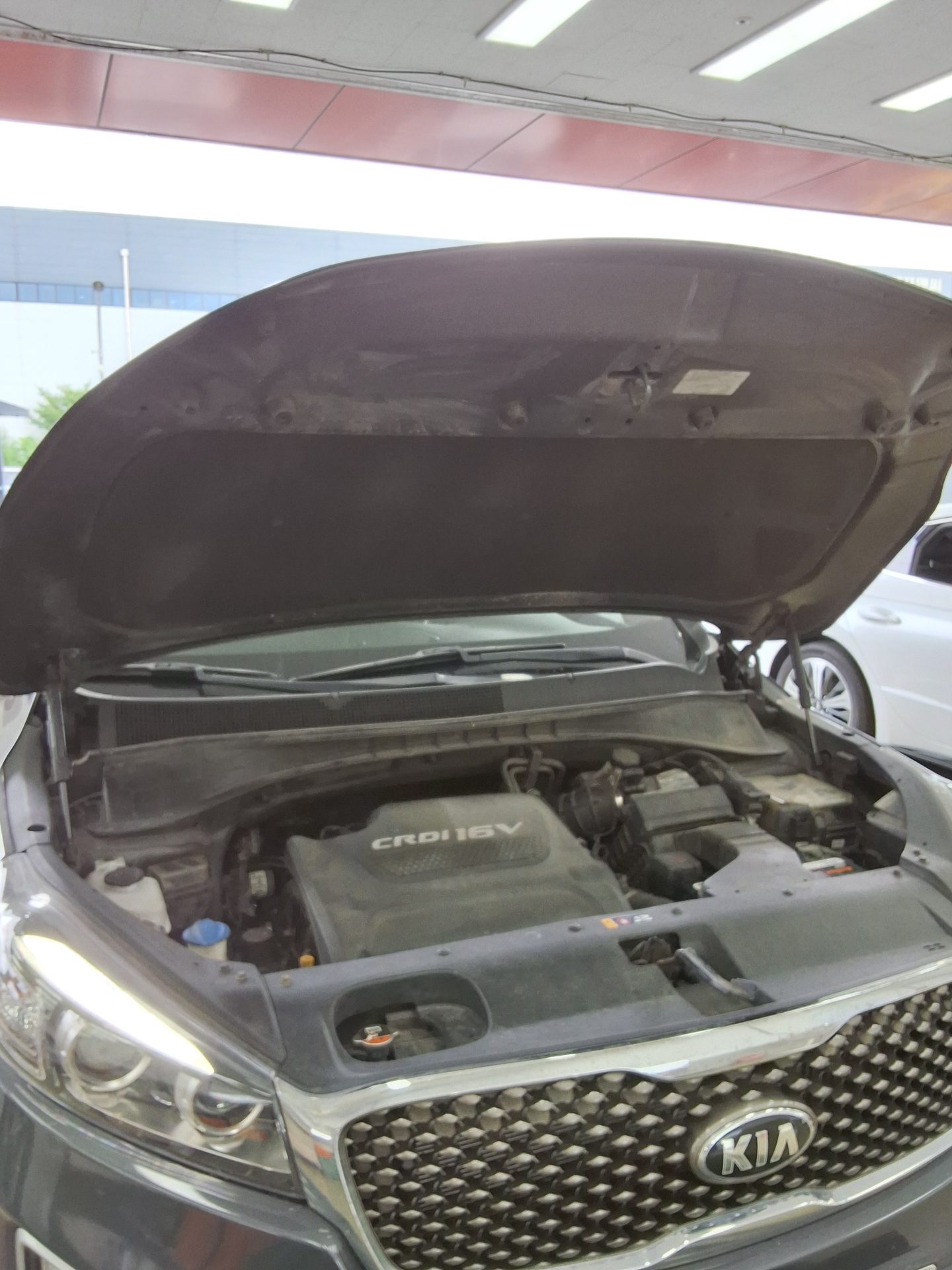 2016 - kia sorento