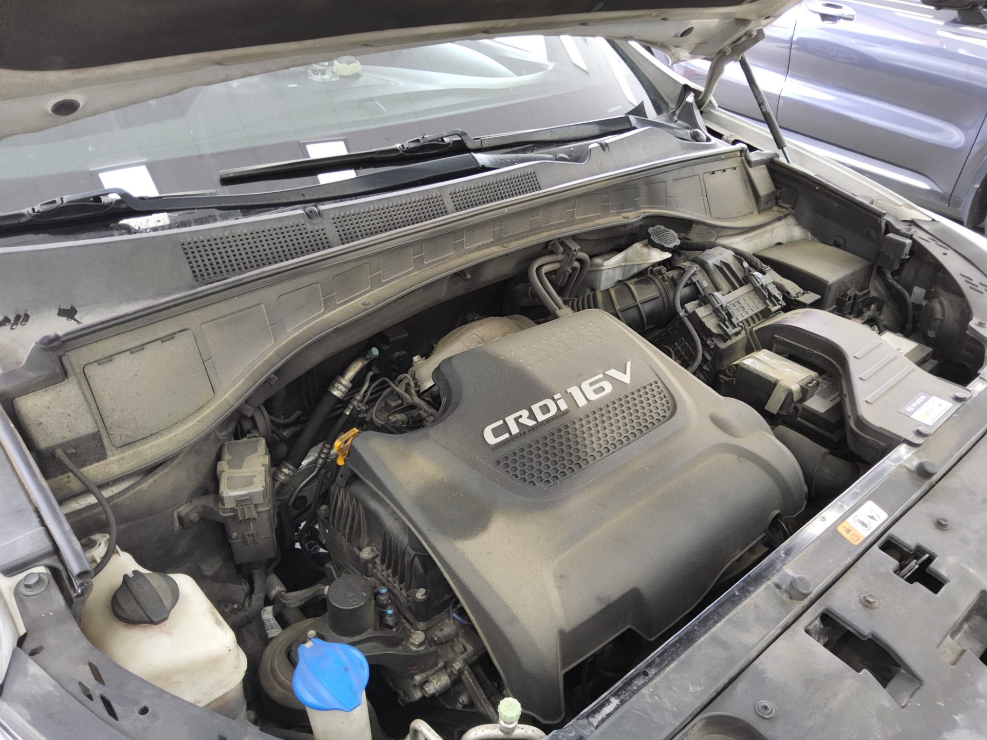 2016 - hyundai maxcruz